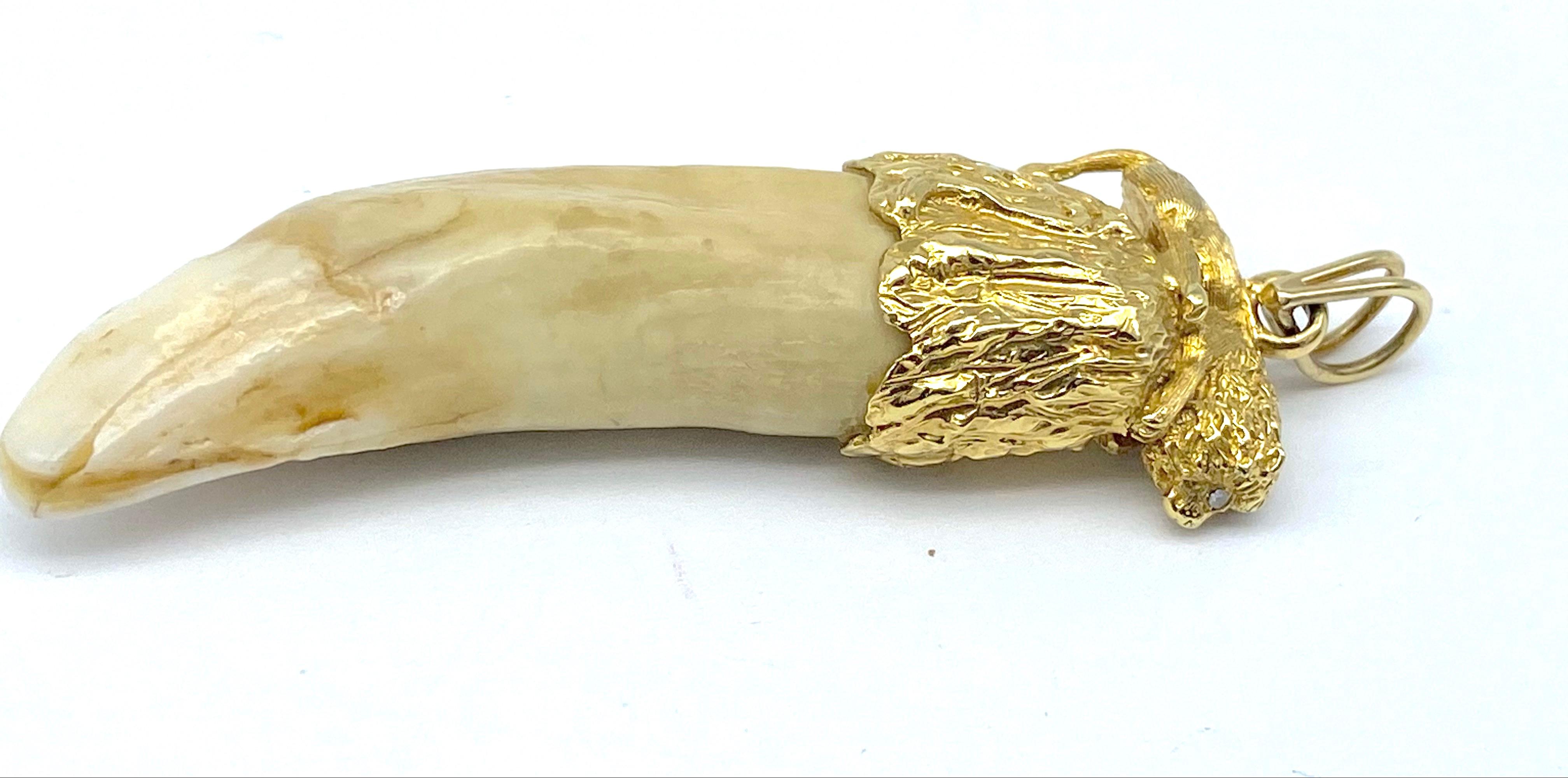 
Custom made gold cap with diamond encompasses this striking Lions Tooth.

Double wide Bail: 1/4 inch additional length
Gold encrusted custom made cap with Lion measures nearly 1 inch in length
Lion is laying down over the cap of the tooth with