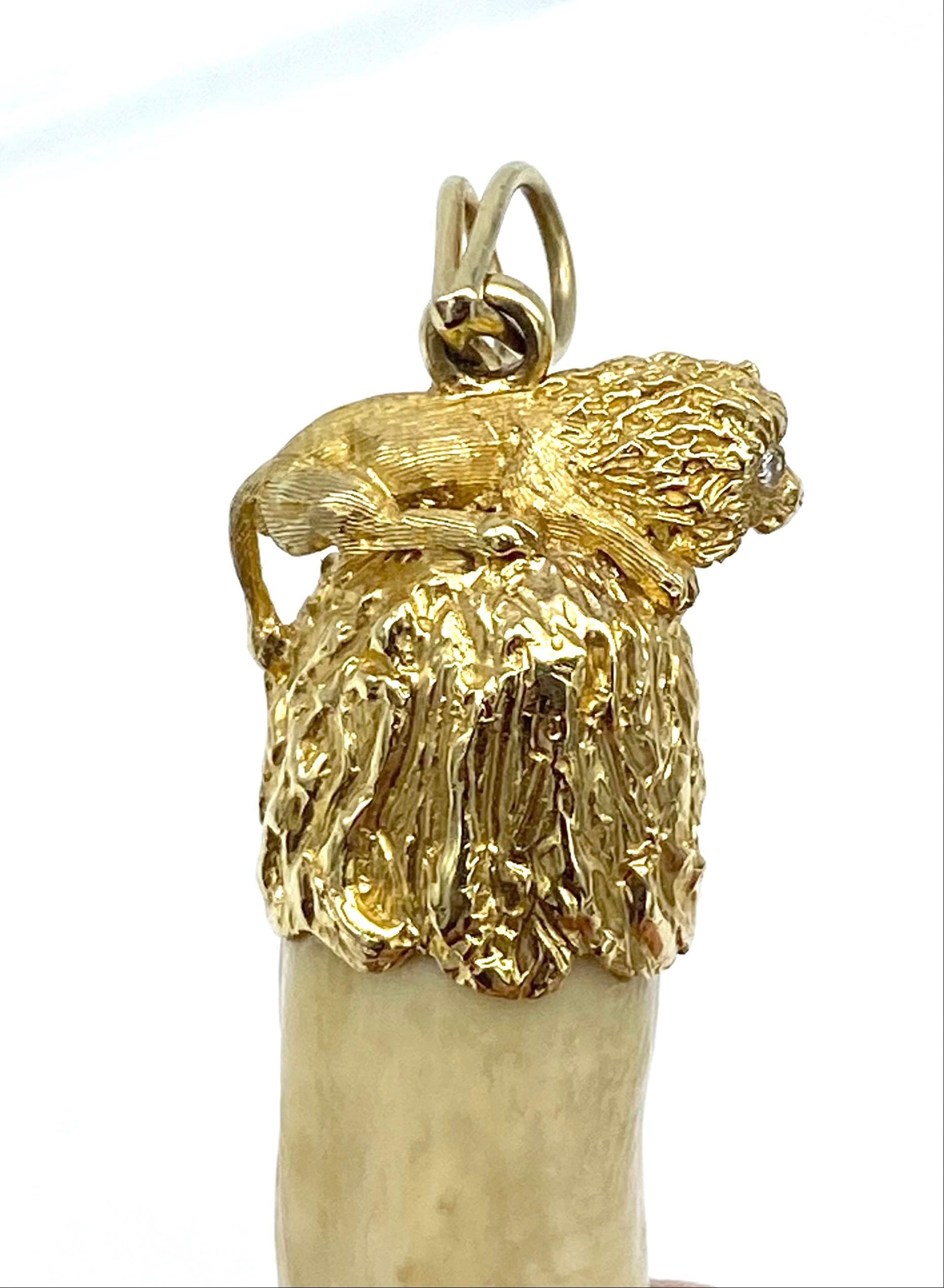 lion teeth gold pendant