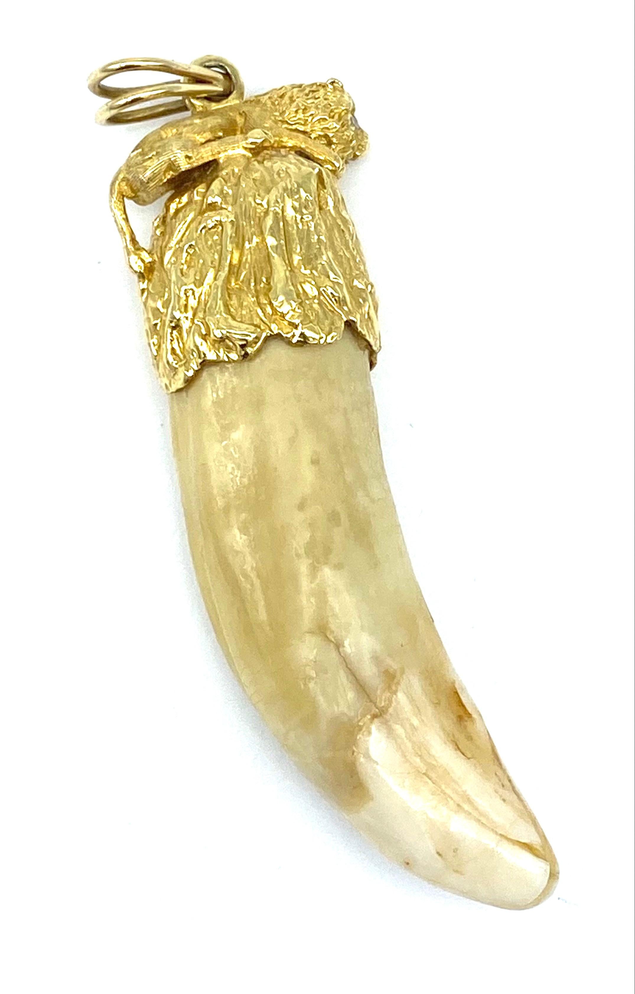 Round Cut Lion Tooth Pendant & Diamond 14 Karat Yellow Gold