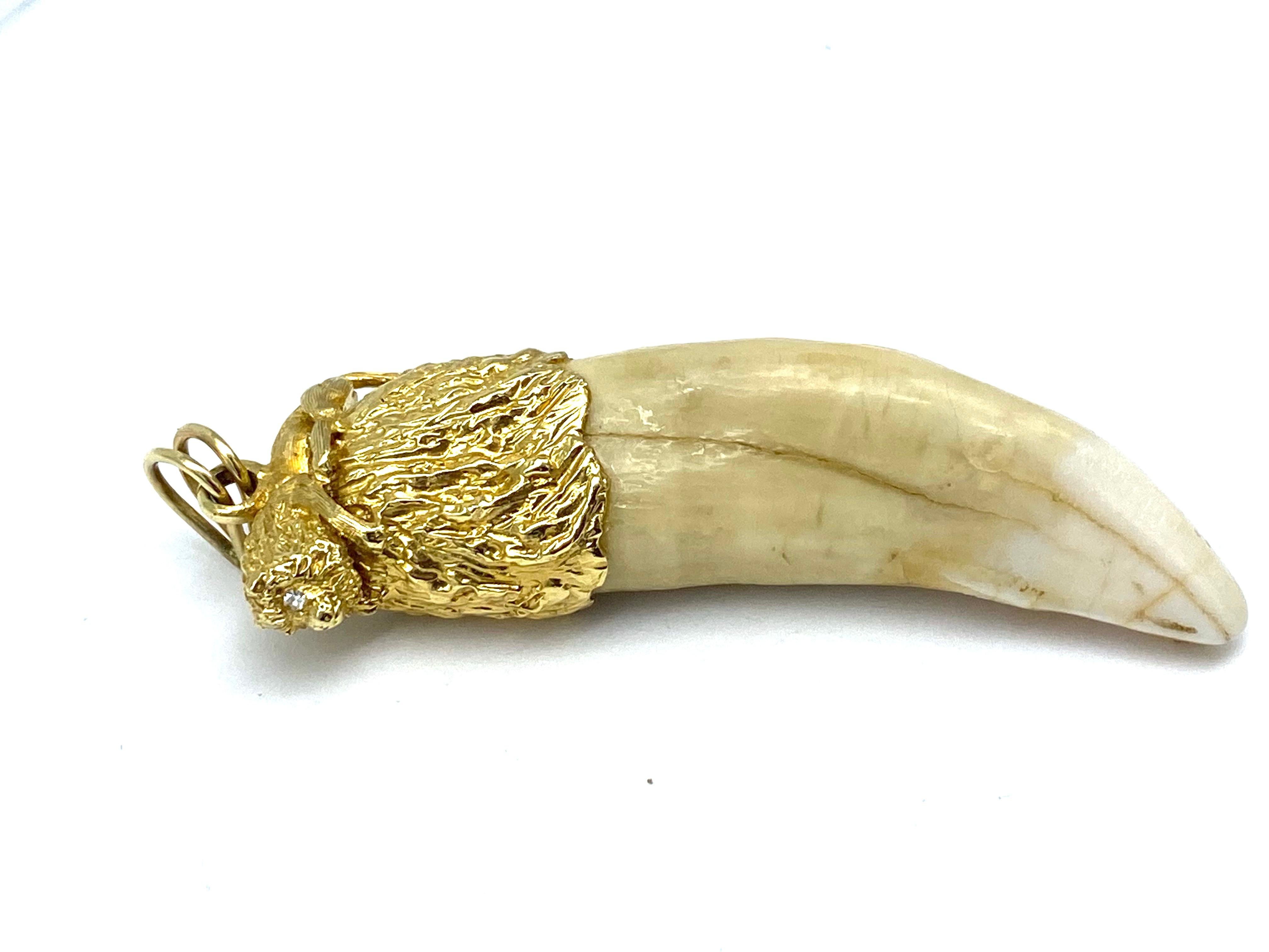 Women's or Men's Lion Tooth Pendant & Diamond 14 Karat Yellow Gold
