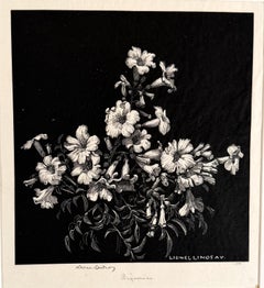 BEGONIAS