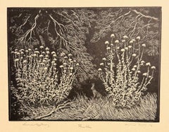 THISTLES