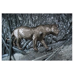 Lions dans la forêt de Davide Medri