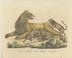 Lioness with Cubs, African Wildlife Natural History Lithograph, 1816