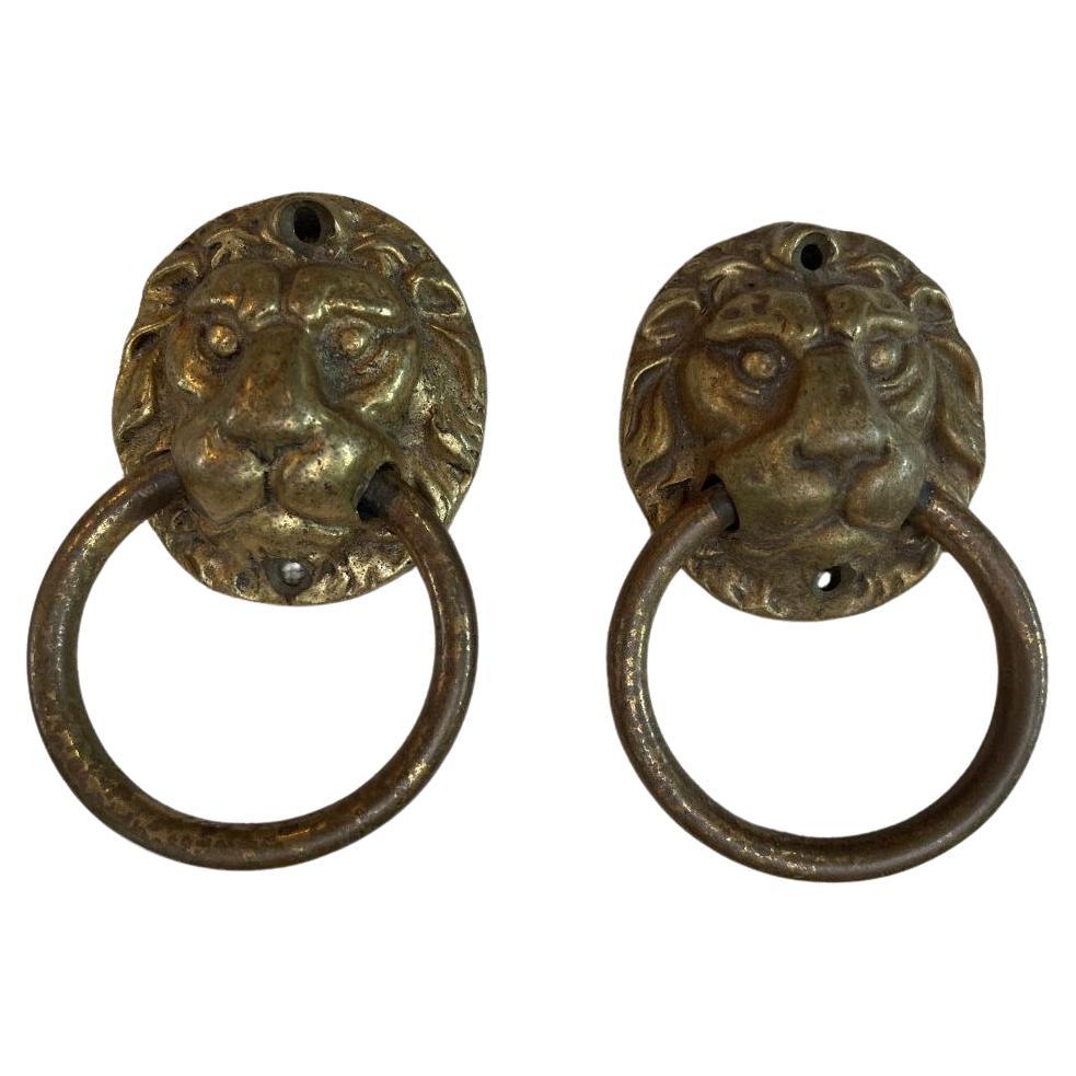 Aldaba Cabeza de León en Bronce Macizo