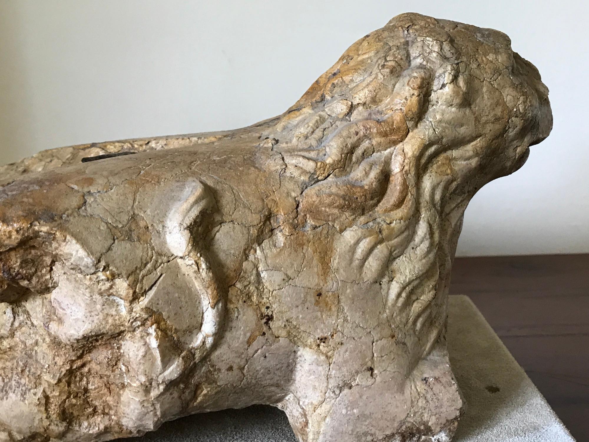 Lions Pair of Sculpture Marble Italian 13th Century Romanesque For Sale 5