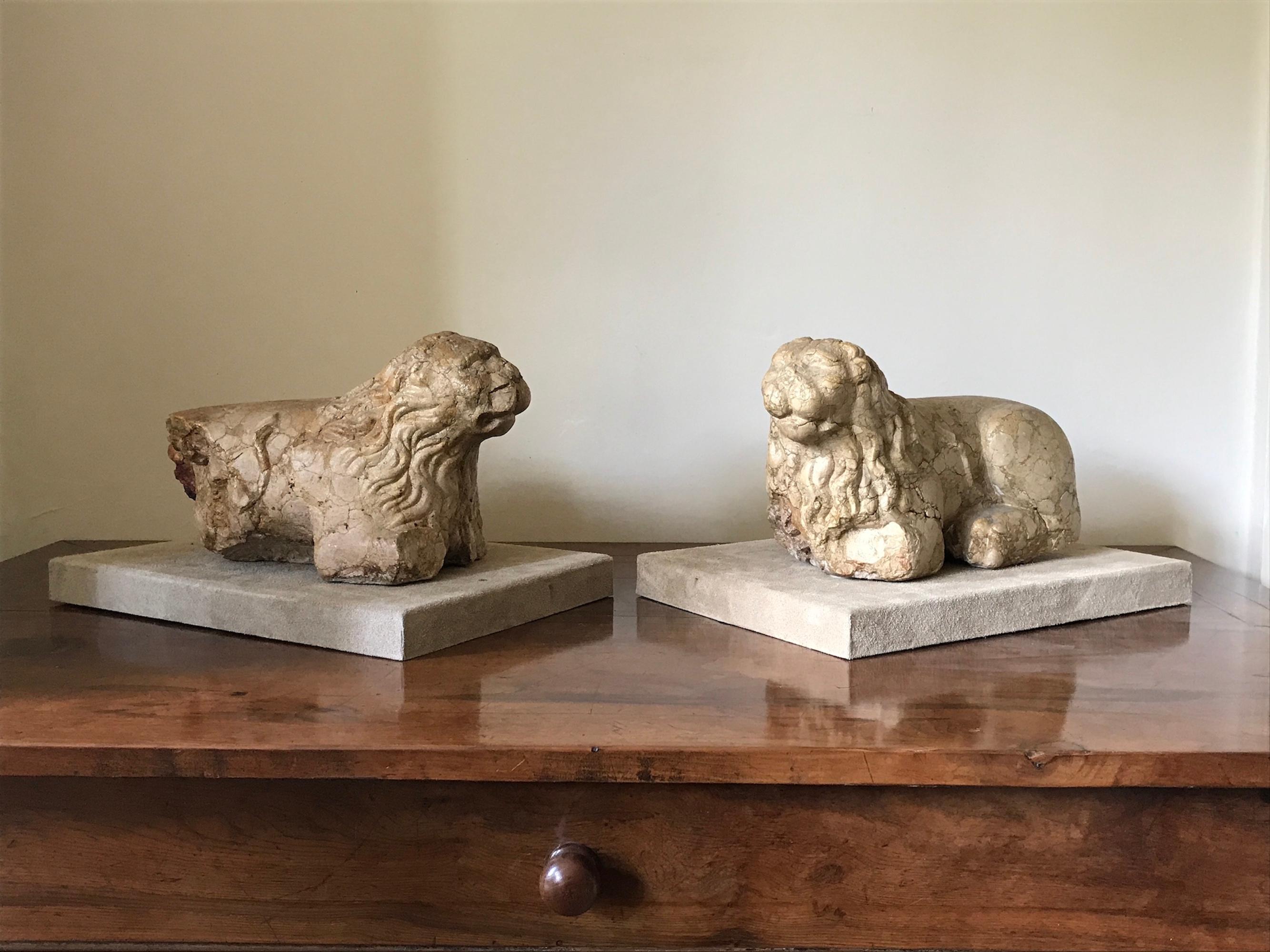 Rare, pair of 13th century, Romanesque, marble, recumbent lions
Recumbent lions were popular in 11th-13th century Italian architecture with pairs often supporting columns in a cathedral portico, it is rare for a pair to remain together

- The