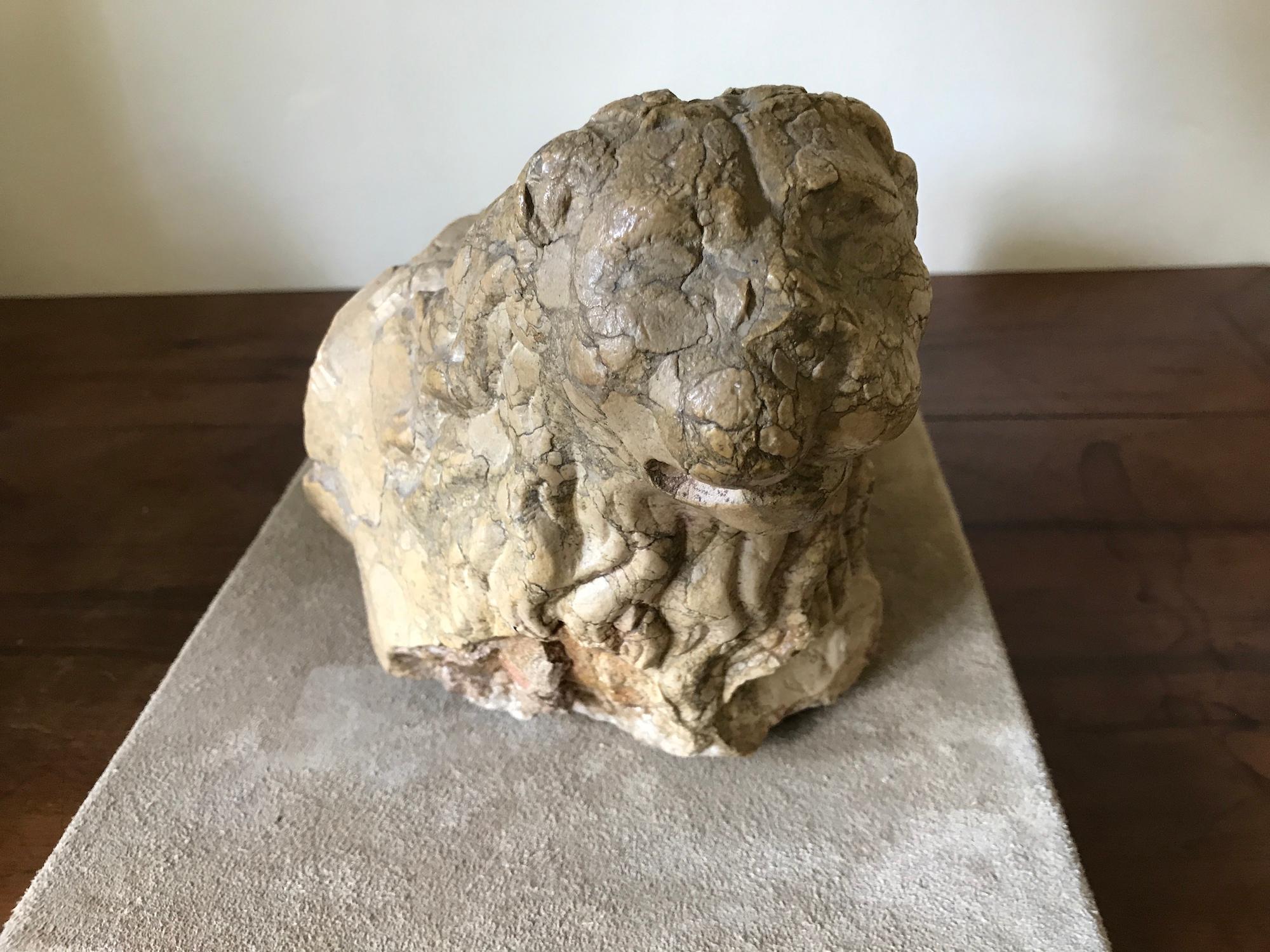 Hand-Carved Lions Pair of Sculpture Marble Italian 13th Century Romanesque For Sale