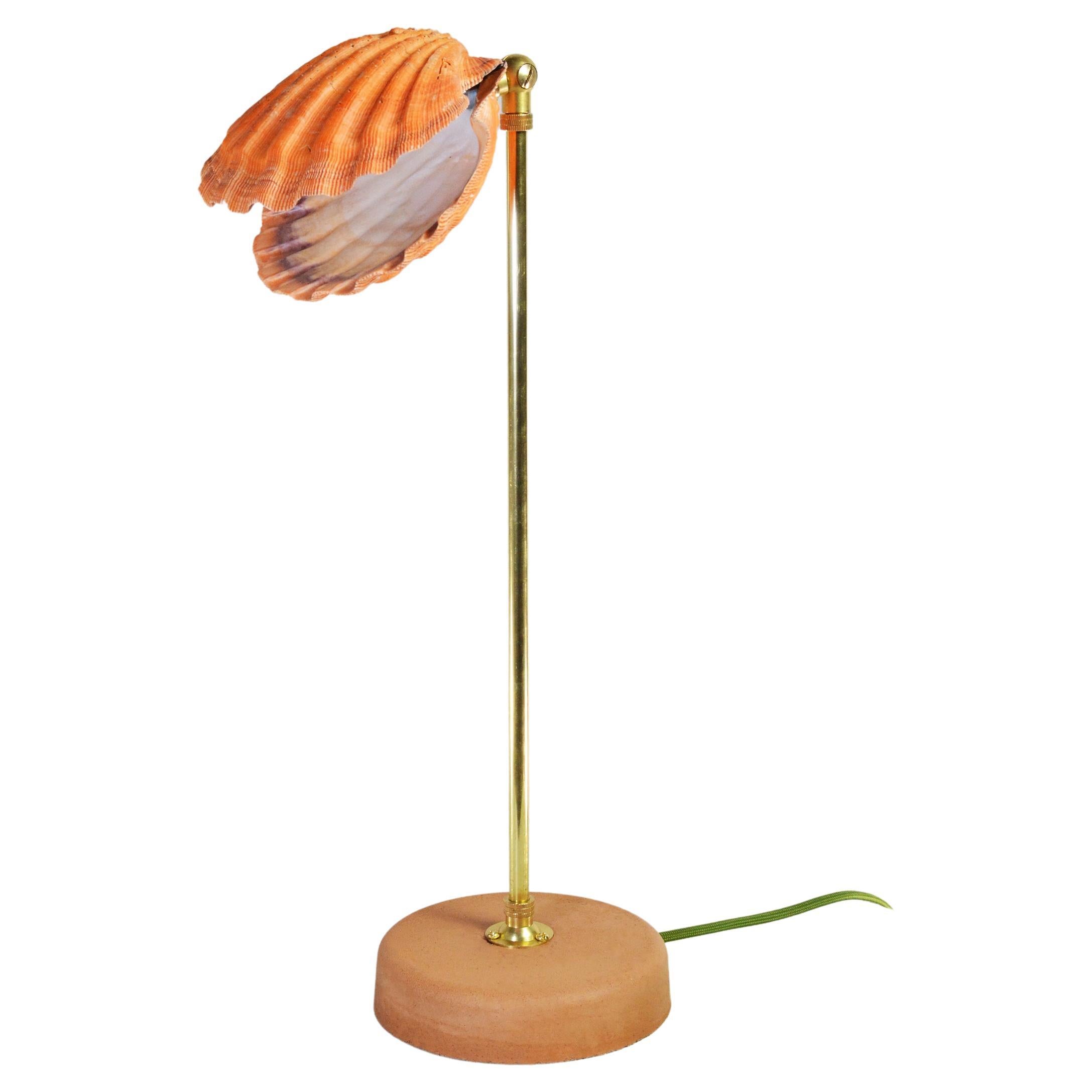 'Lion's Paw' Table Lamp in Brass and Terra Cotta with Real Scallop Shell Shade For Sale