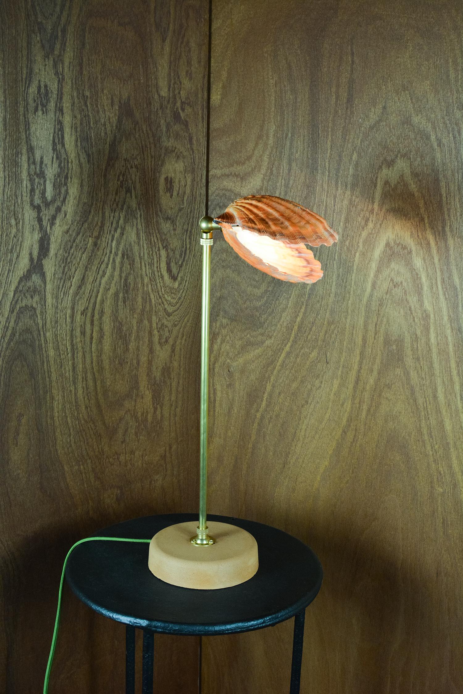 'Lion's Paw' Table Lamp in Brass and Terra Cotta with Real Scallop Shell Shade For Sale 4