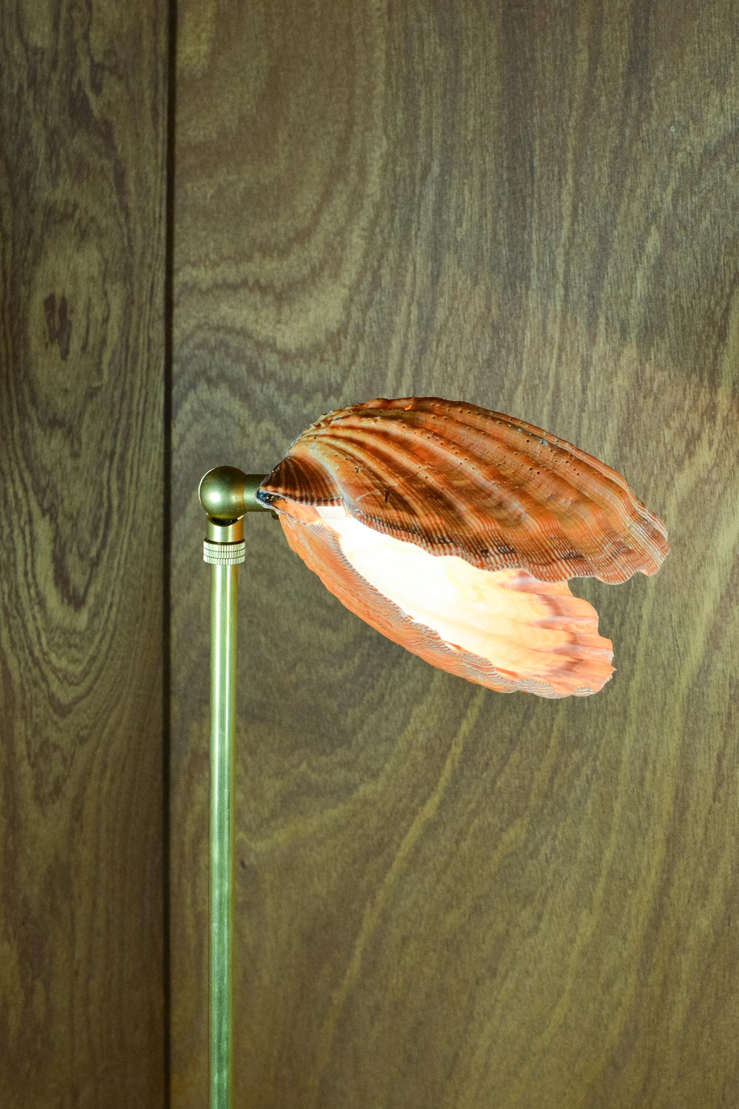 'Lion's Paw' Table Lamp in Brass and Terra Cotta with Real Scallop Shell Shade For Sale 5