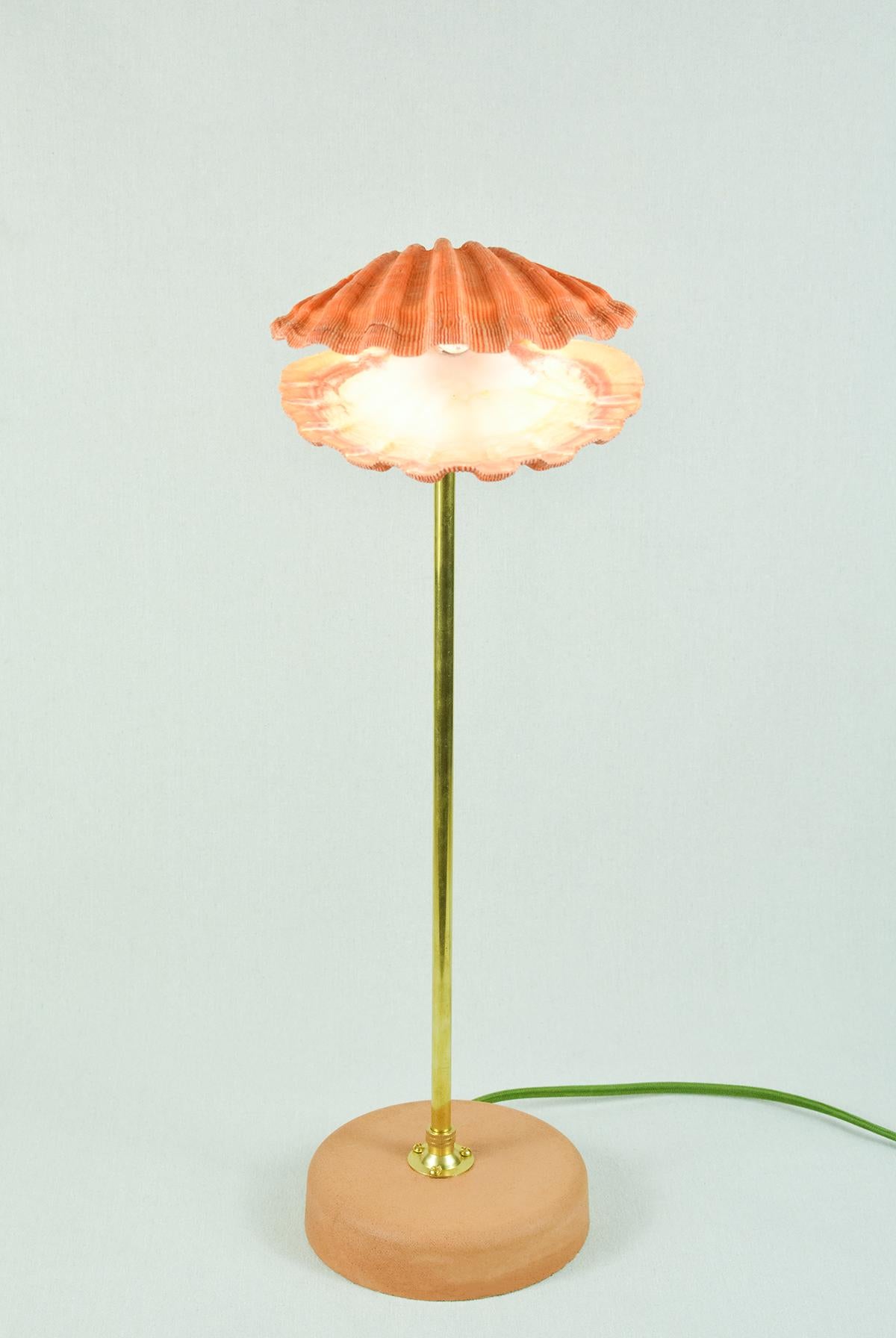 Cast 'Lion's Paw' Table Lamp in Brass and Terra Cotta with Real Scallop Shell Shade For Sale