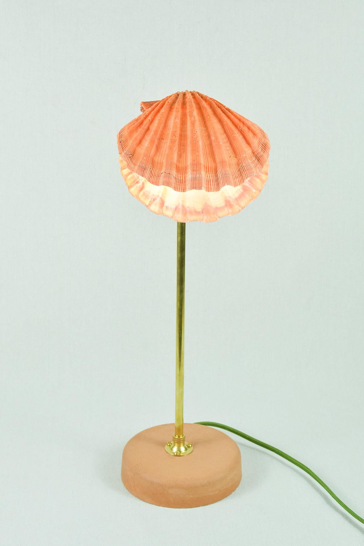 American 'Lion's Paw' Table Lamp in Brass and Terra Cotta with Real Scallop Shell Shade For Sale