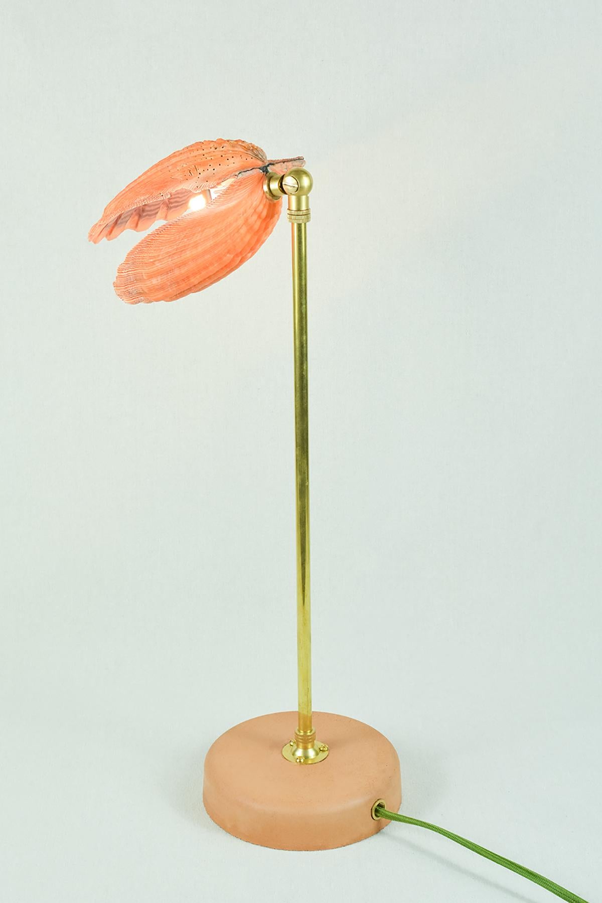 'Lion's Paw' Table Lamp in Brass and Terra Cotta with Real Scallop Shell Shade In New Condition For Sale In Brooklyn, NY