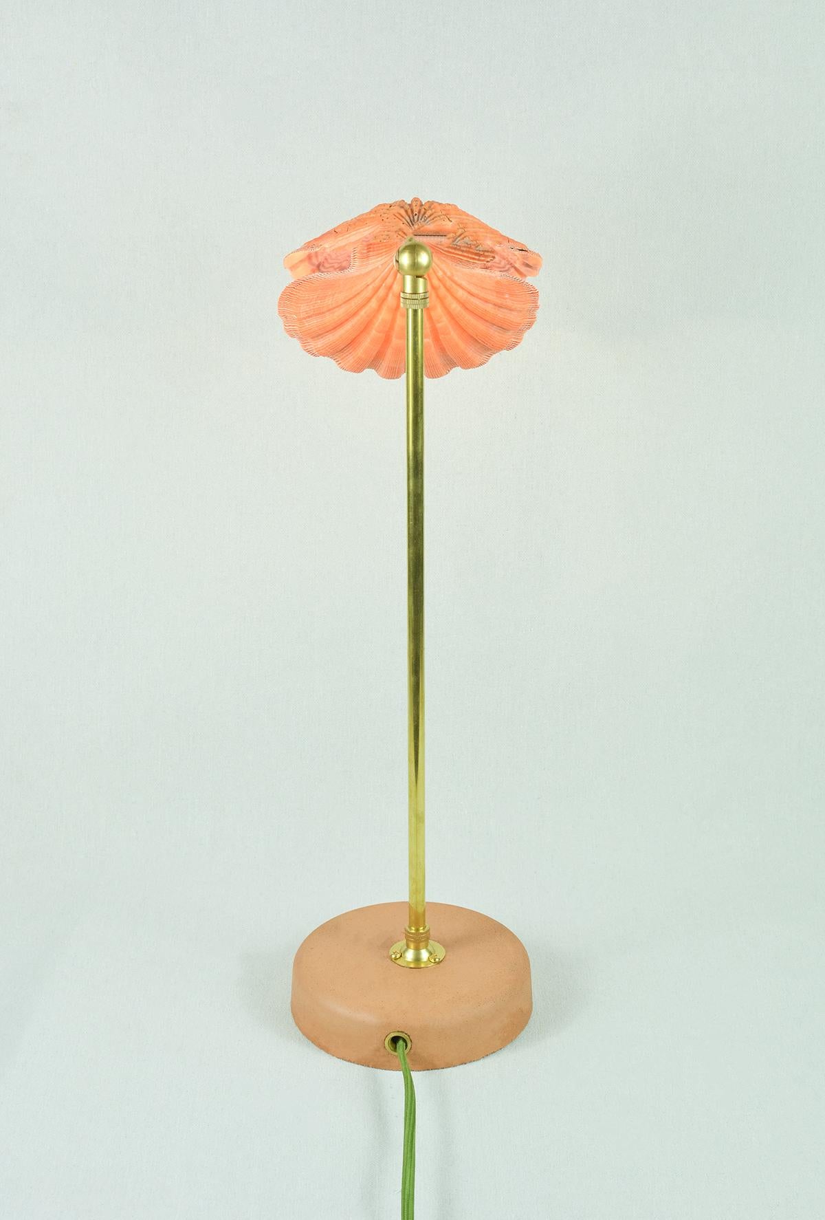 Contemporary 'Lion's Paw' Table Lamp in Brass and Terra Cotta with Real Scallop Shell Shade For Sale