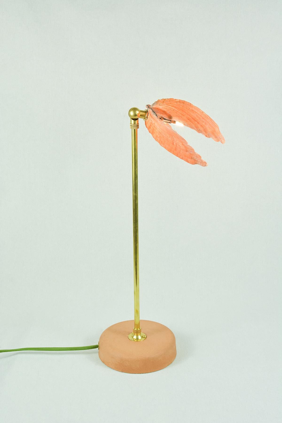'Lion's Paw' Table Lamp in Brass and Terra Cotta with Real Scallop Shell Shade For Sale 1