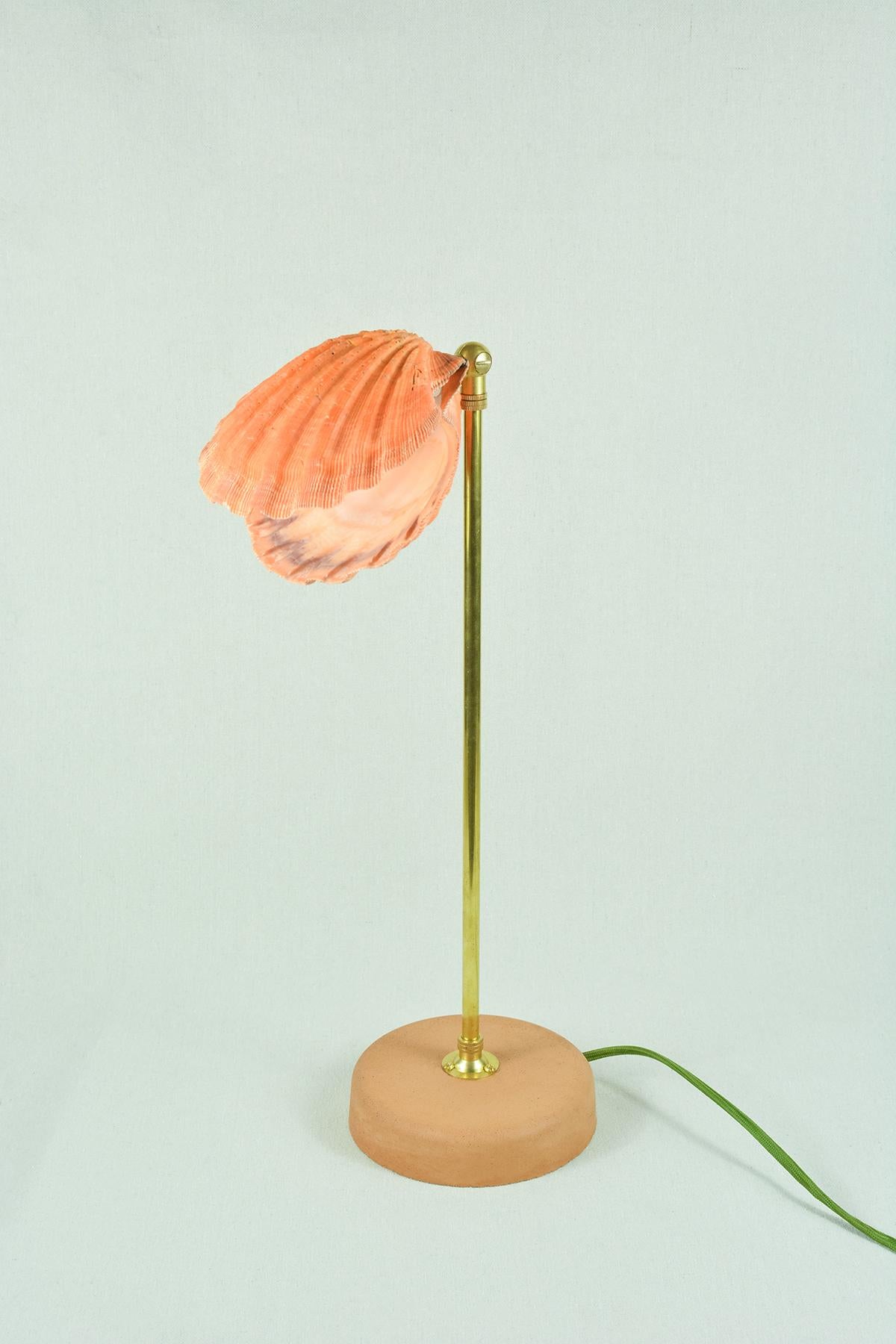 'Lion's Paw' Table Lamp in Brass and Terra Cotta with Real Scallop Shell Shade For Sale 3