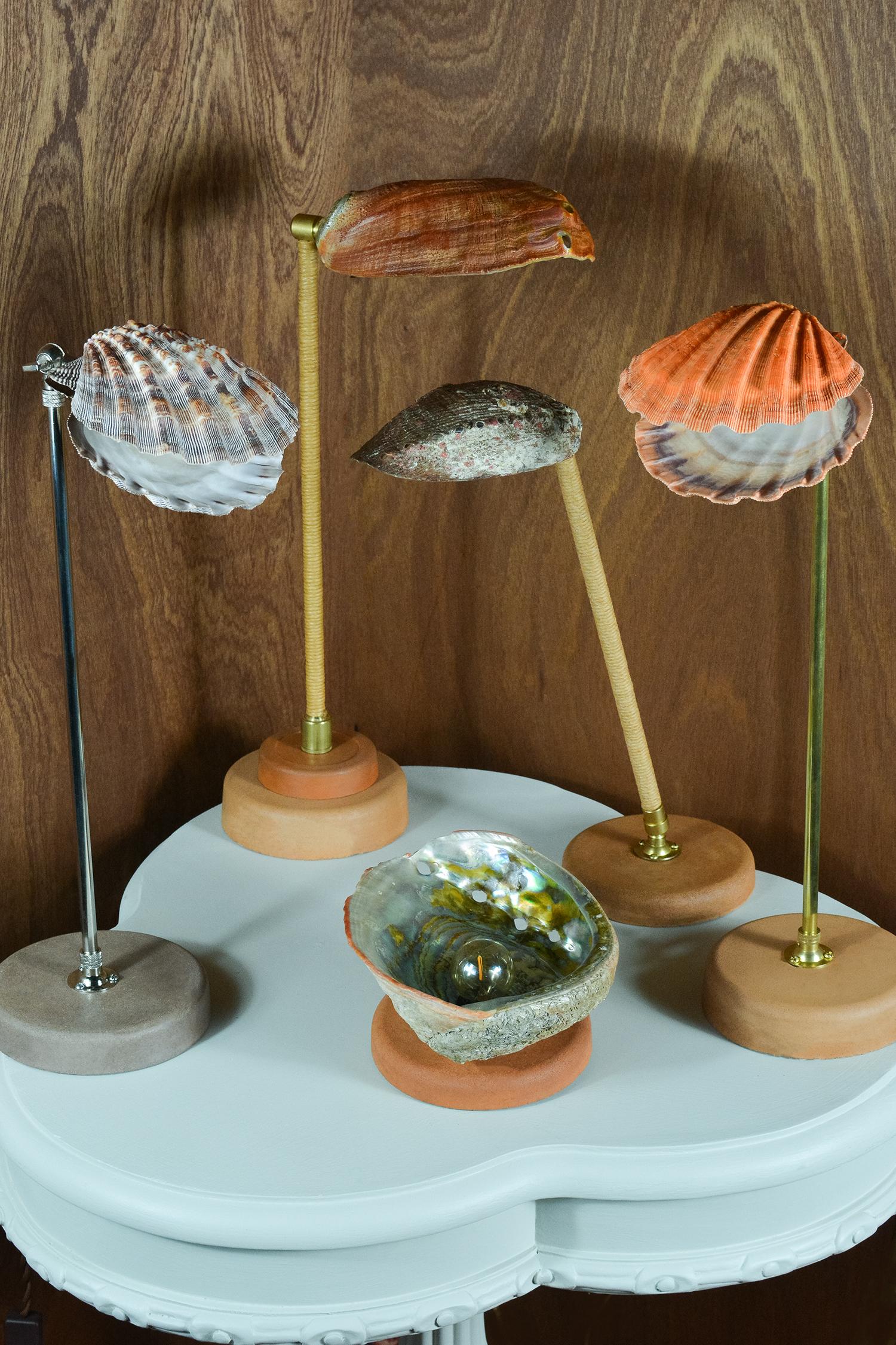 'Lion's Paw' Table Lamp in Brass and Terra Cotta with Real Scallop Shell Shade For Sale 6