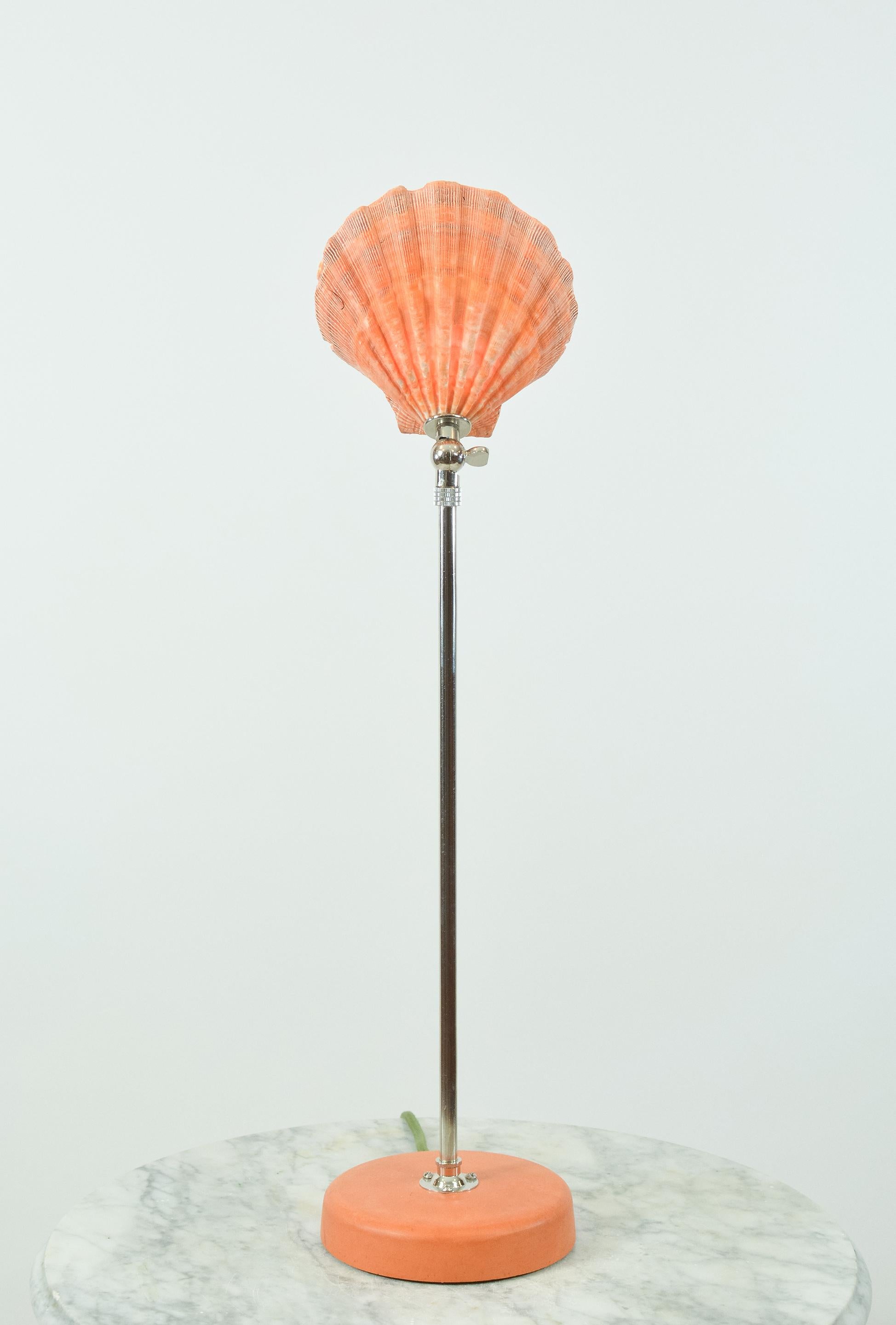 “Venus favors the bold.”
—Ovid

The Lion’s Paw Table Lamp in chrome is the 10th release from the Venus Collection, a whimsical family of handmade fixtures inspired by the Surrealists and natural forms of the sea. Employing the latest advances in