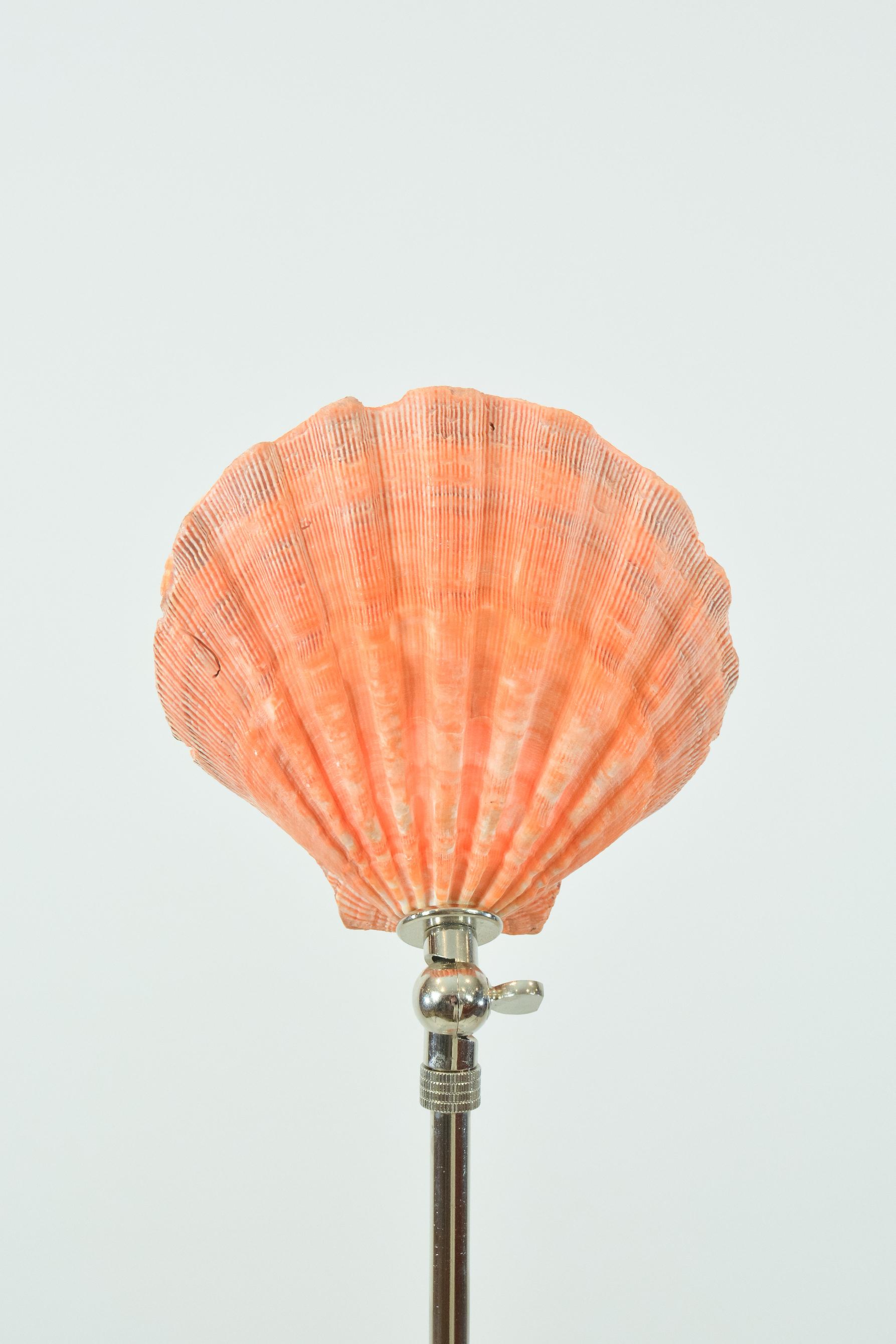 Cast Lion's Paw Table Lamp in Chrome & Terra Cotta w/ Scallop Shell Shade [In Stock] For Sale