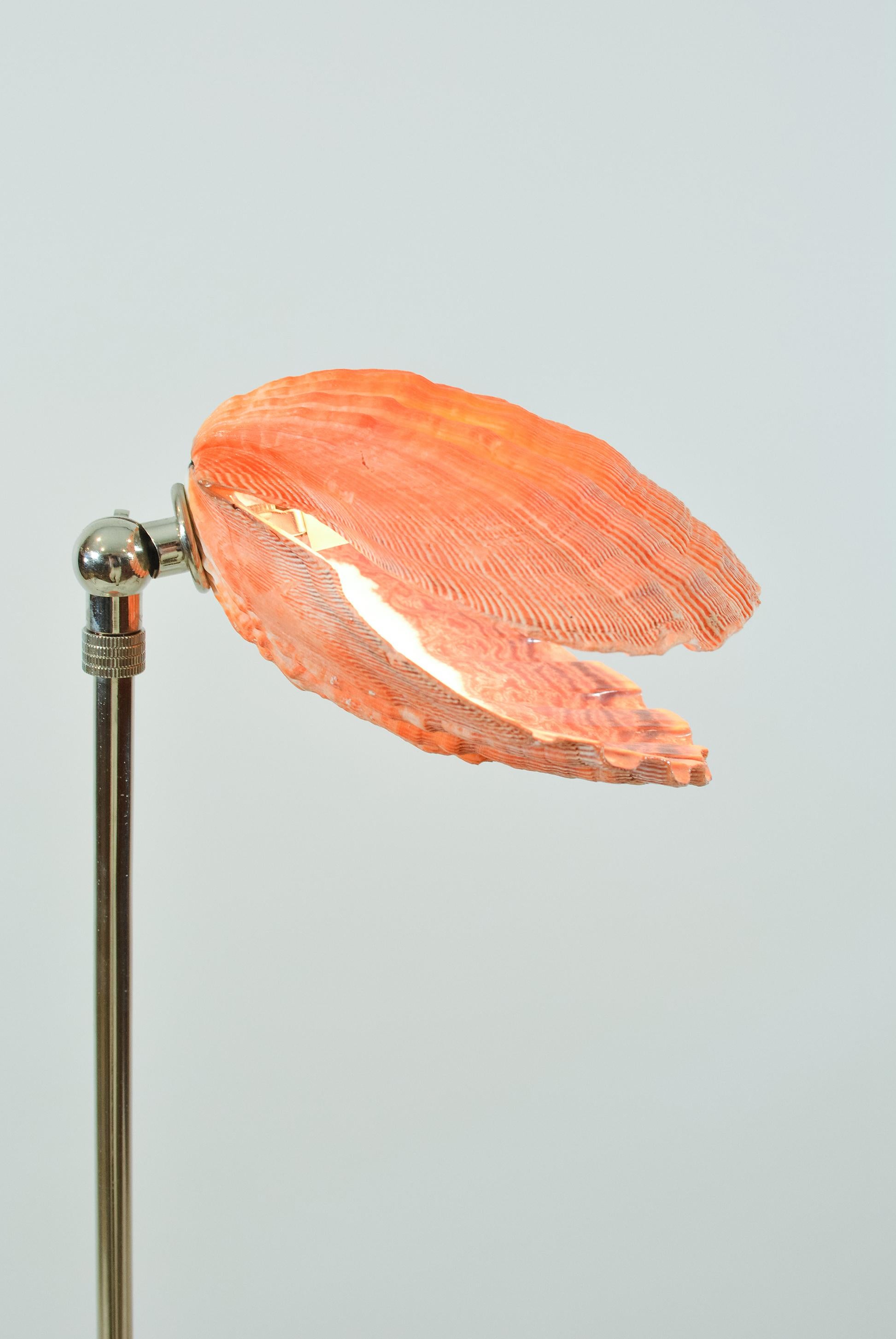 Contemporary Lion's Paw Table Lamp in Chrome & Terra Cotta w/ Scallop Shell Shade [In Stock] For Sale