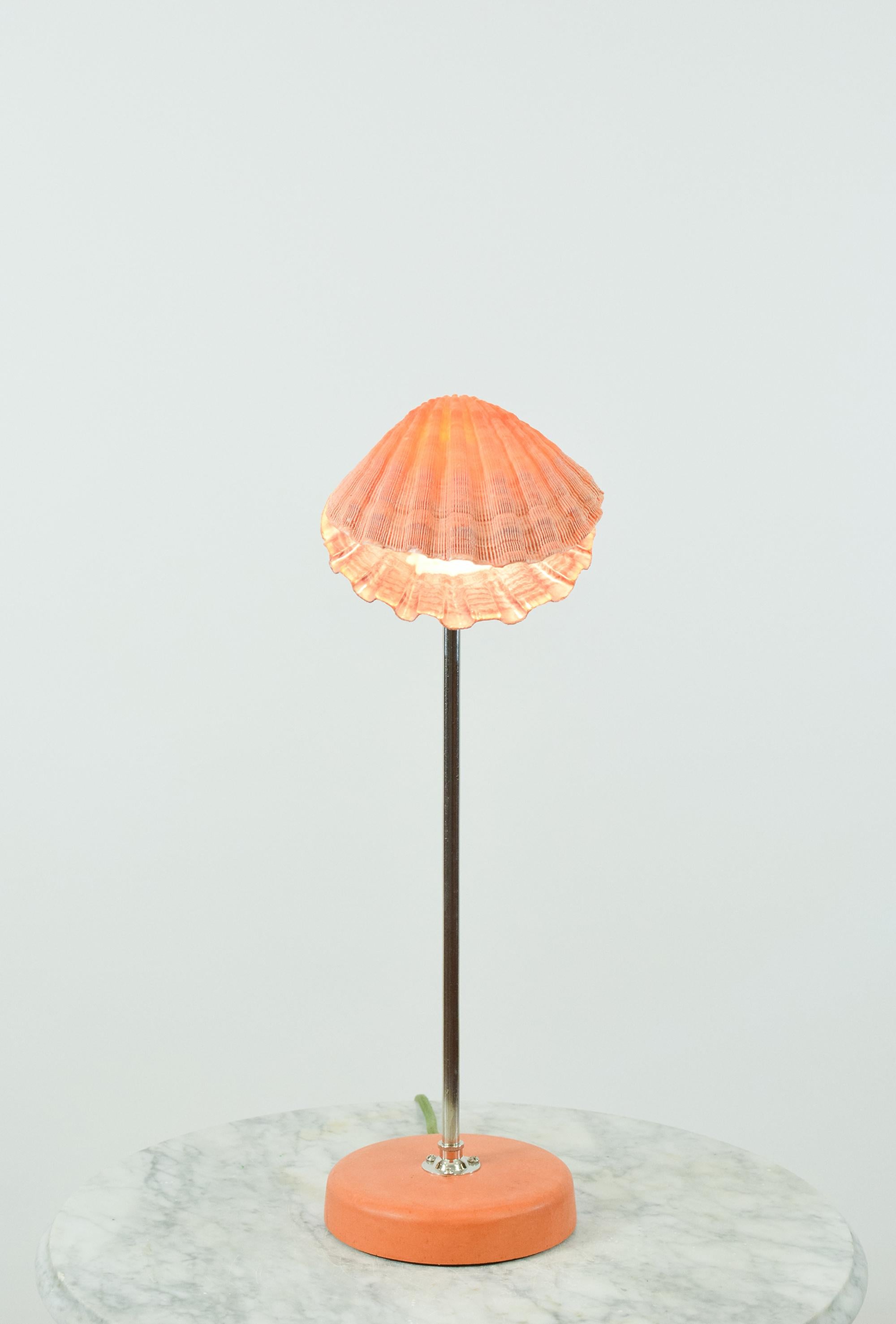 Lion's Paw Table Lamp in Chrome & Terra Cotta w/ Scallop Shell Shade [In Stock] For Sale 1