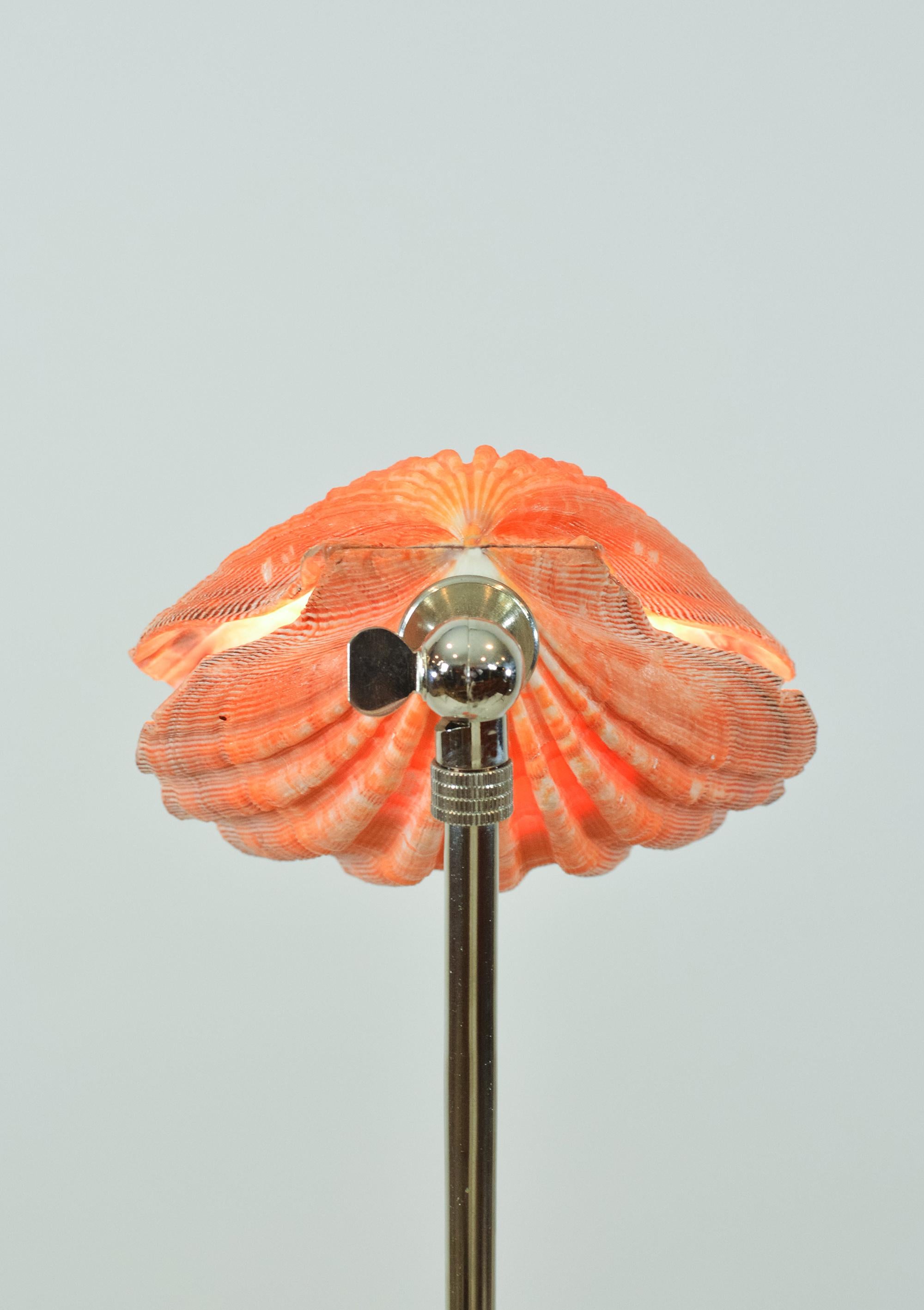 Lion's Paw Table Lamp in Chrome & Terra Cotta w/ Scallop Shell Shade [In Stock] For Sale 2