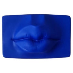 Labios. 2023. un Beso desde arriba, Decoración de Pared, Piezas Únicas. Colores a medida
