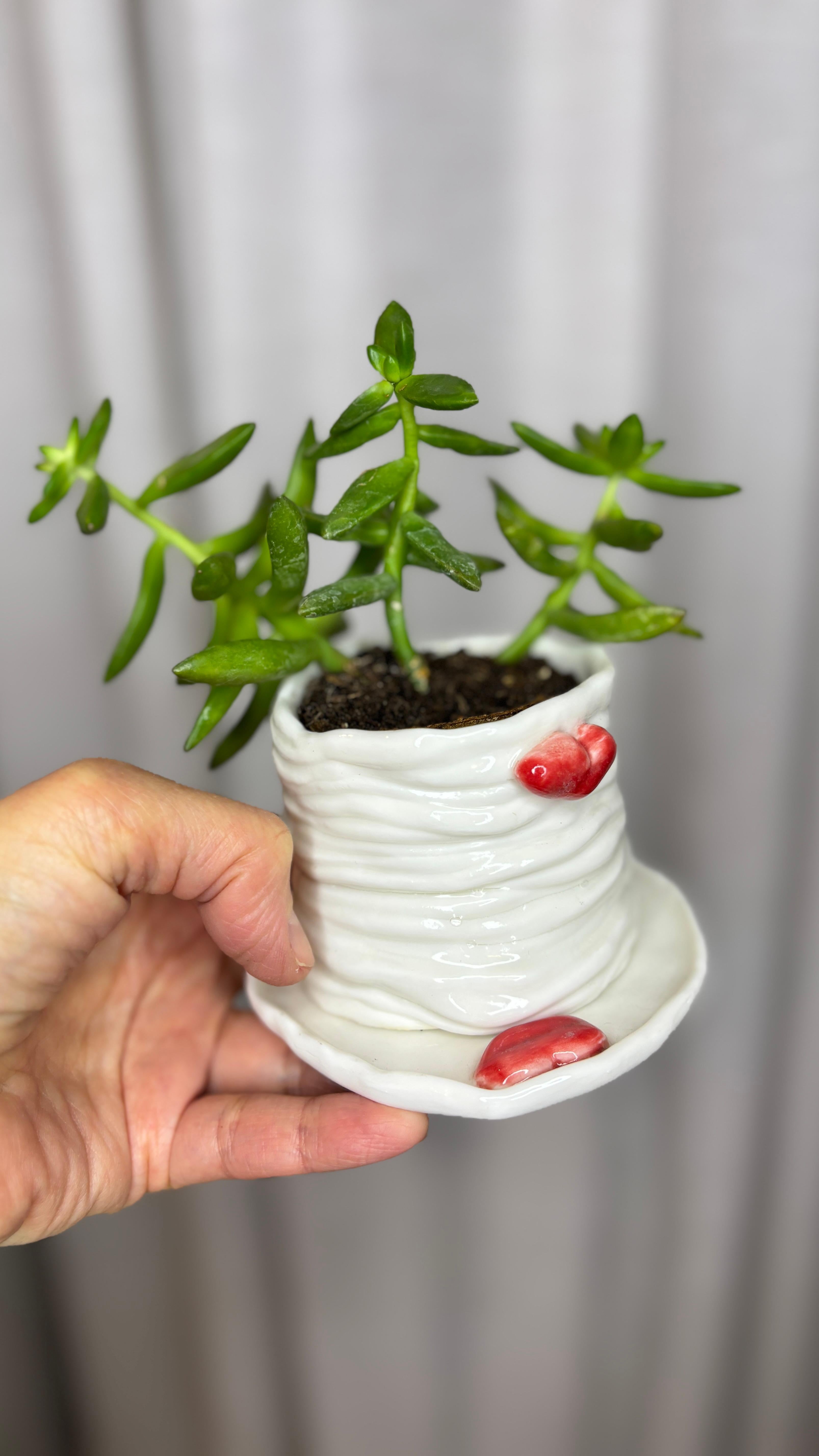 Jardinière Lips en porcelaine blanche de l'artiste-designeuse Hania Jneid en vente 3