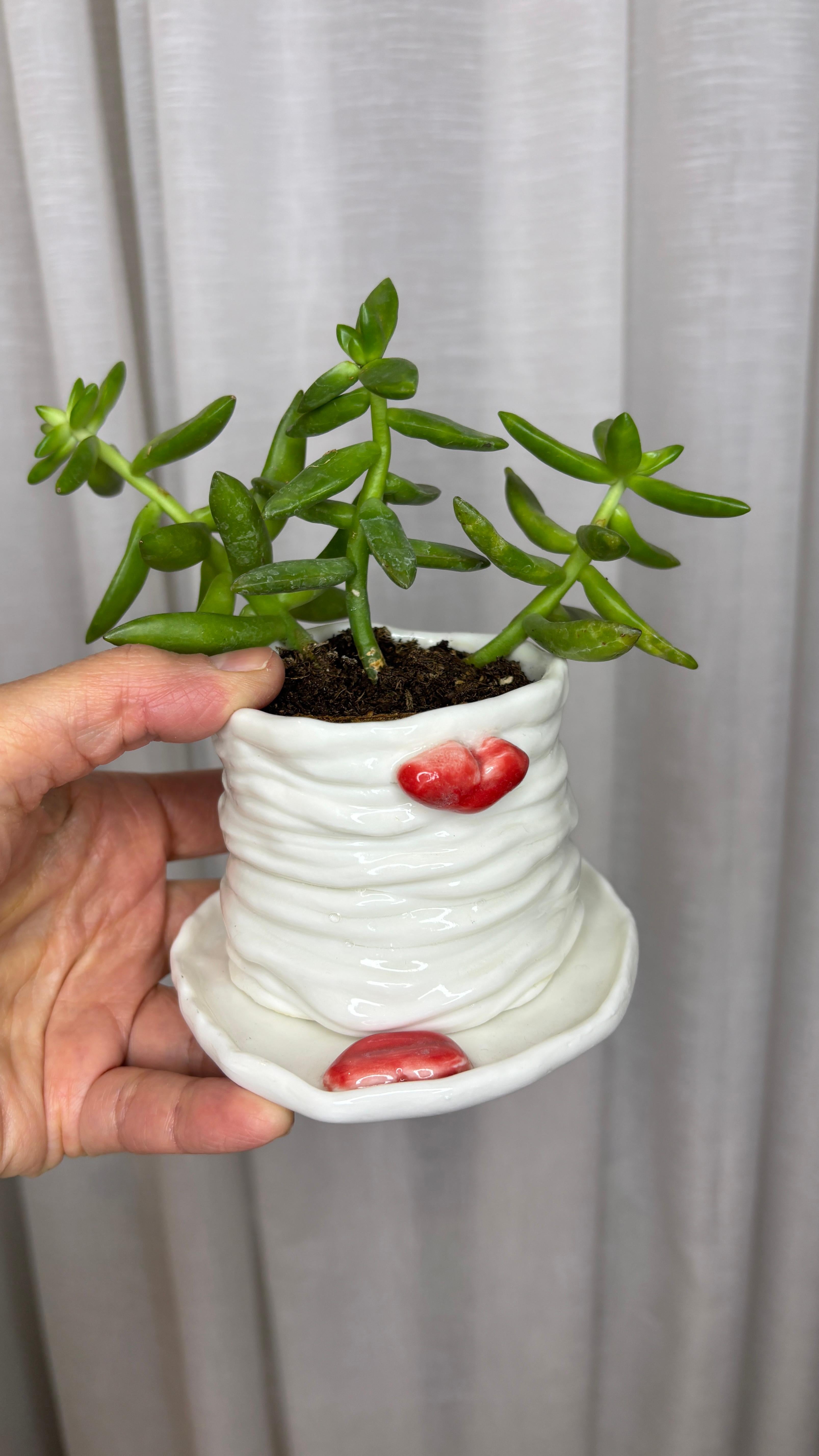 Jardinière Lips en porcelaine blanche de l'artiste-designeuse Hania Jneid en vente 6