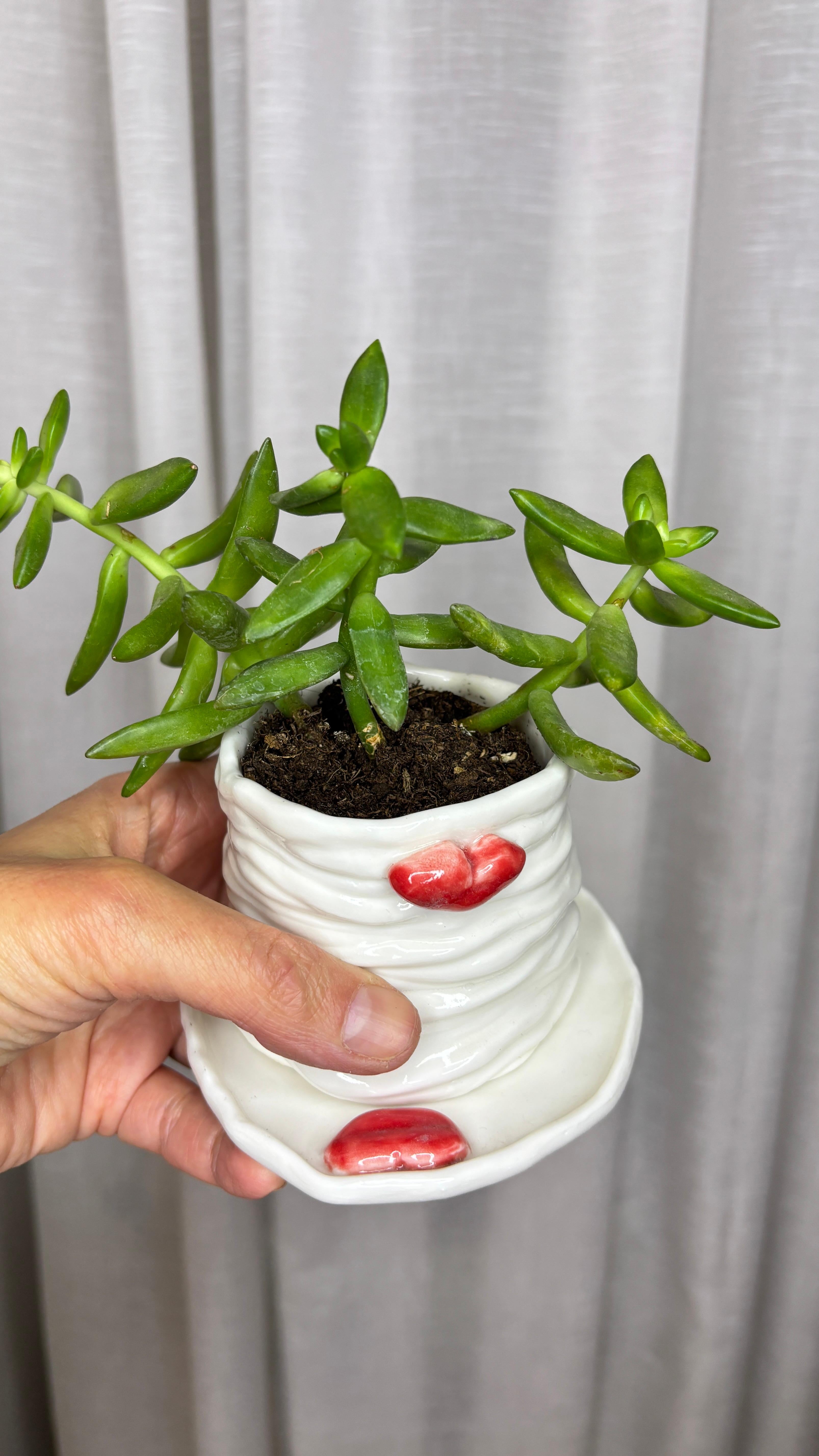 Jardinière Lips en porcelaine blanche de l'artiste-designeuse Hania Jneid en vente 1