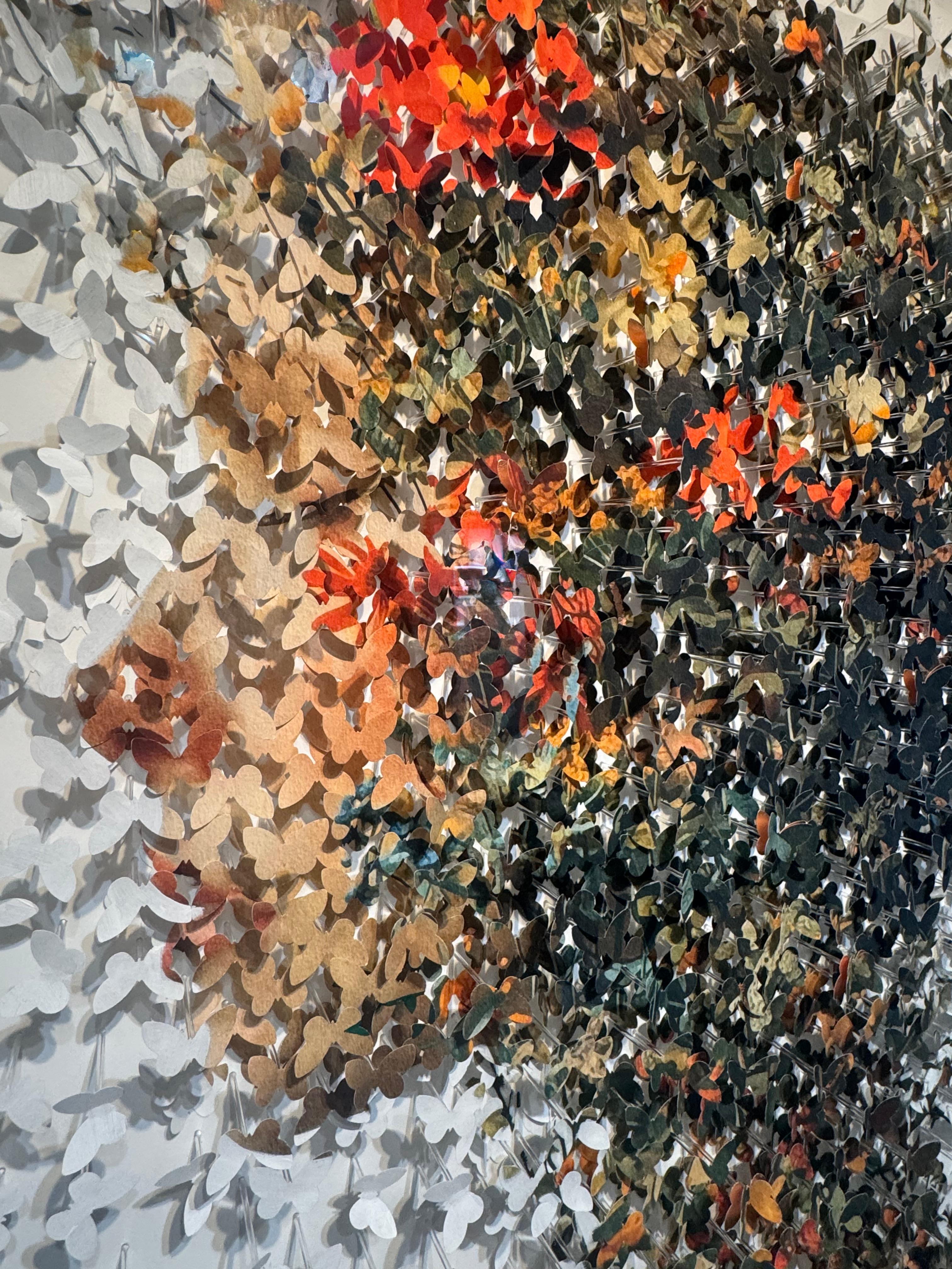 Automne For Sale 4