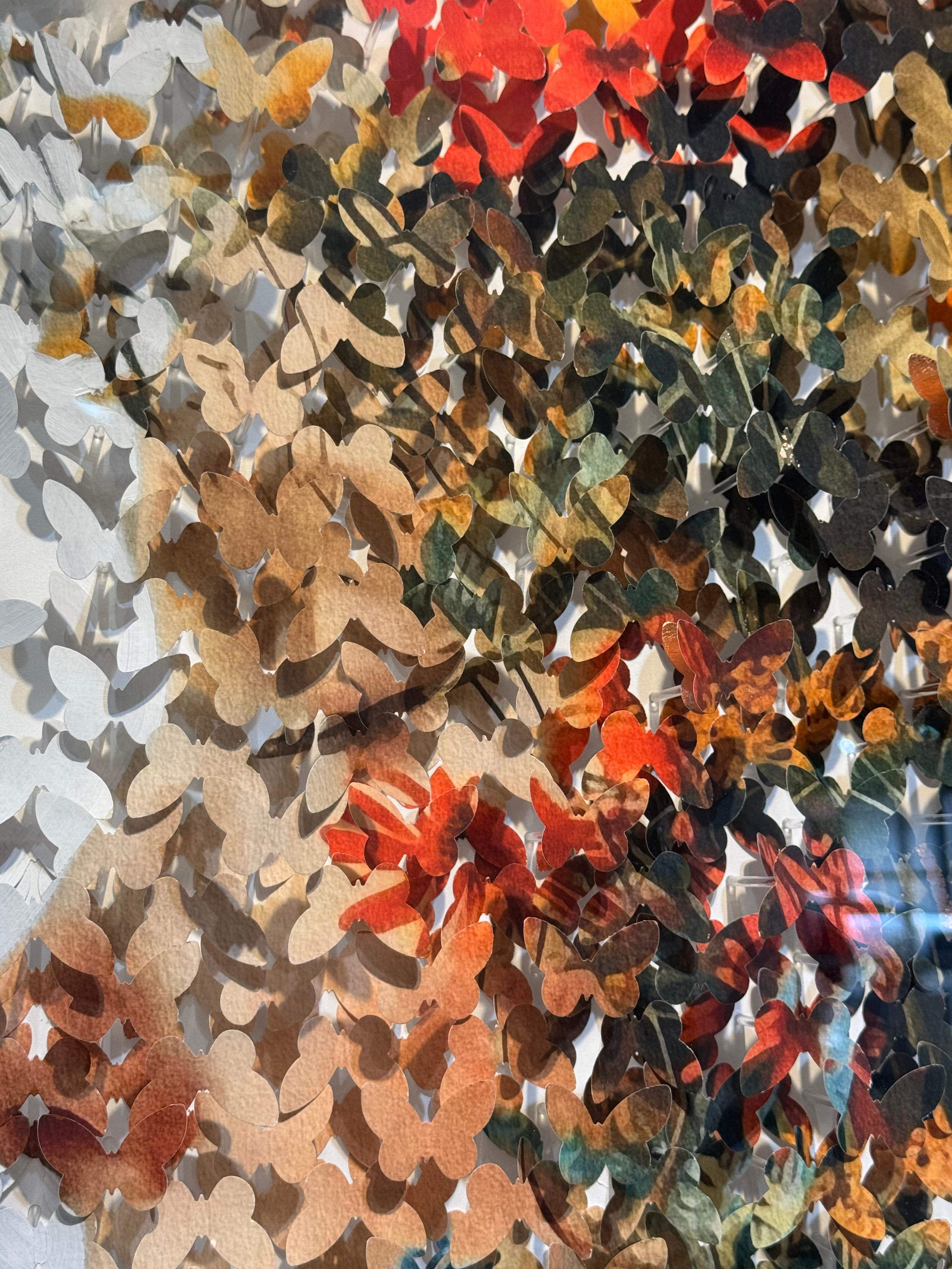 Automne For Sale 5