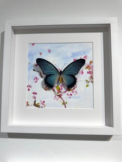 Butterfly Collector #1