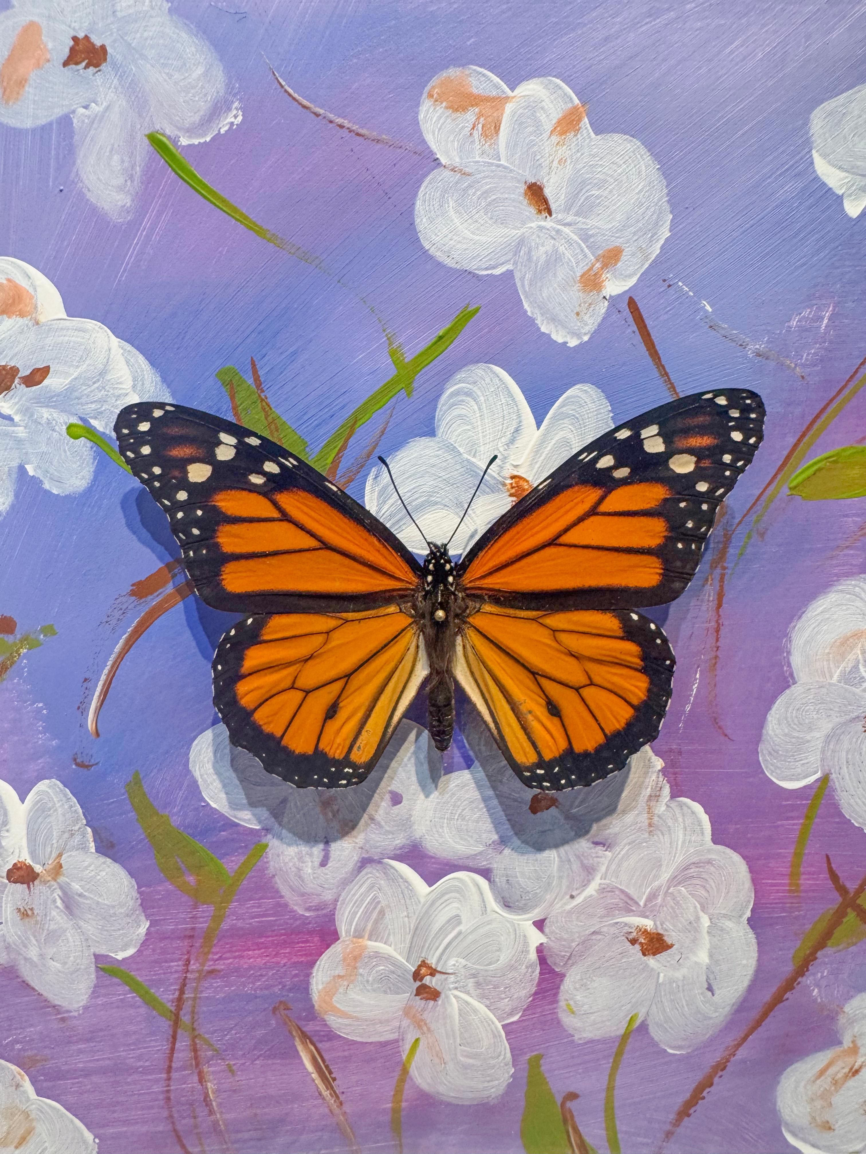 Butterfly Collector #11 - Photorealist Mixed Media Art by Lis Sam