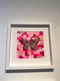 Butterfly Collector #3