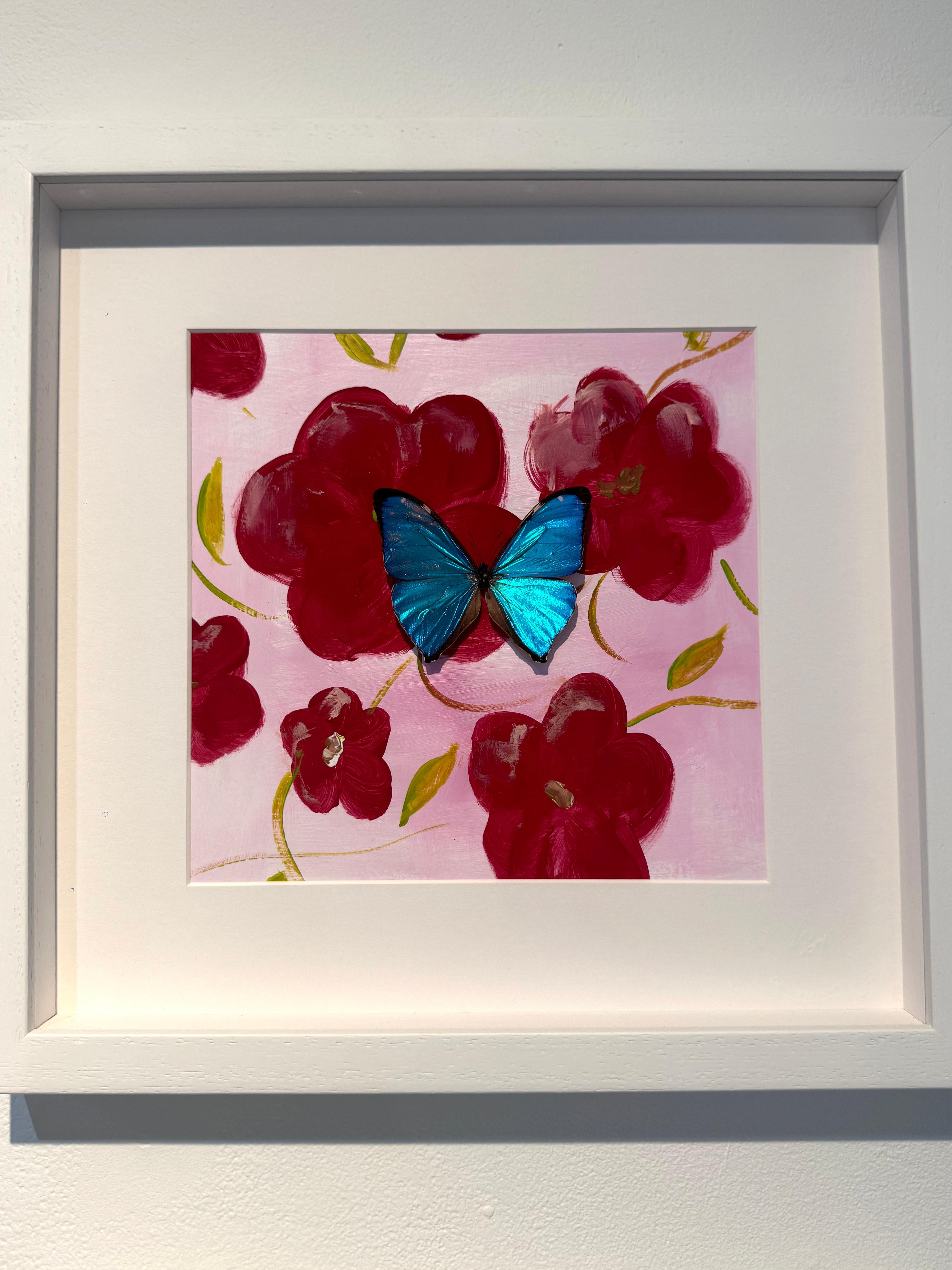 Schmetterling Collector #4