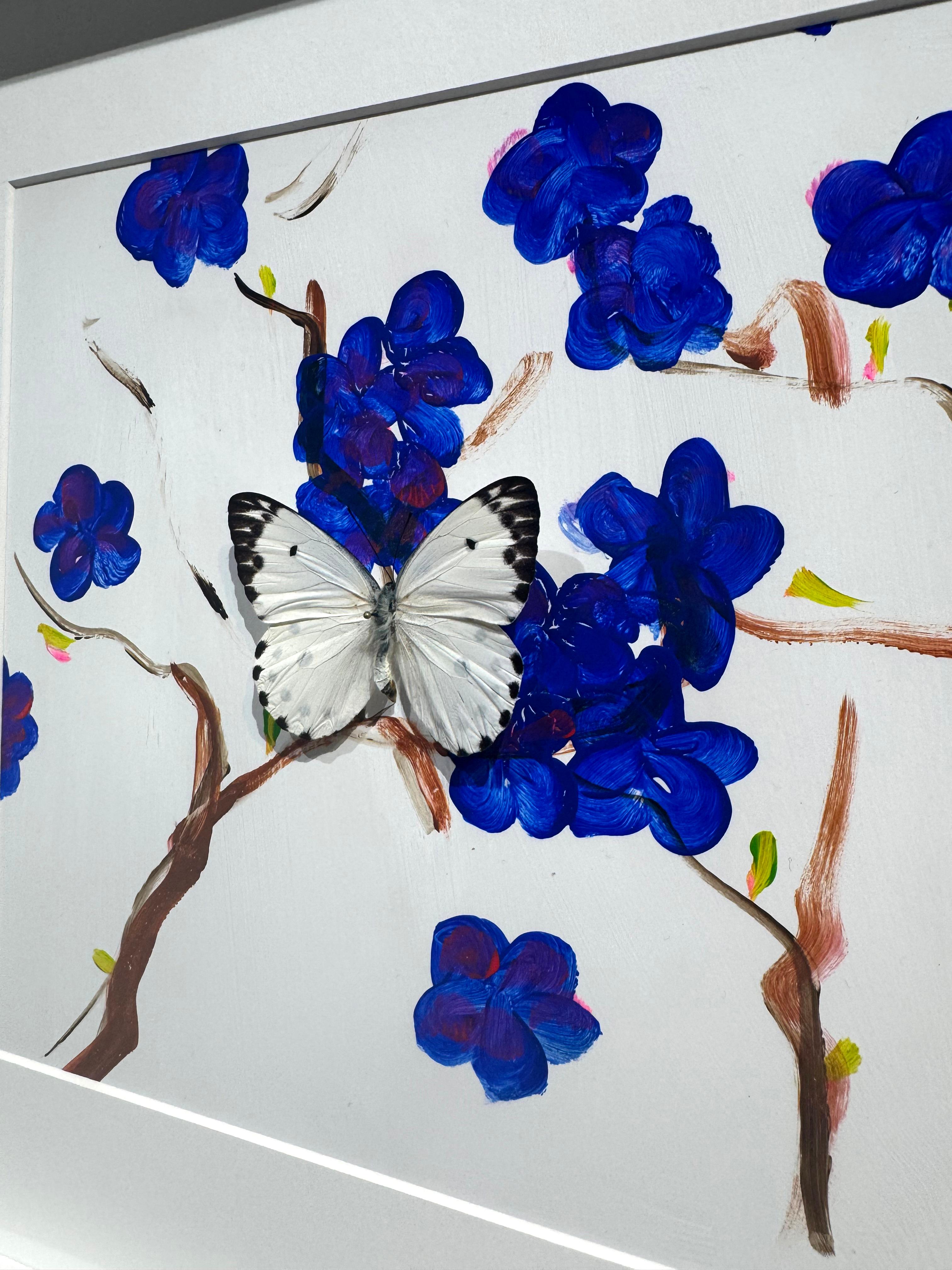 Schmetterling Collector #5 (Fotorealismus), Mixed Media Art, von Lis Sam