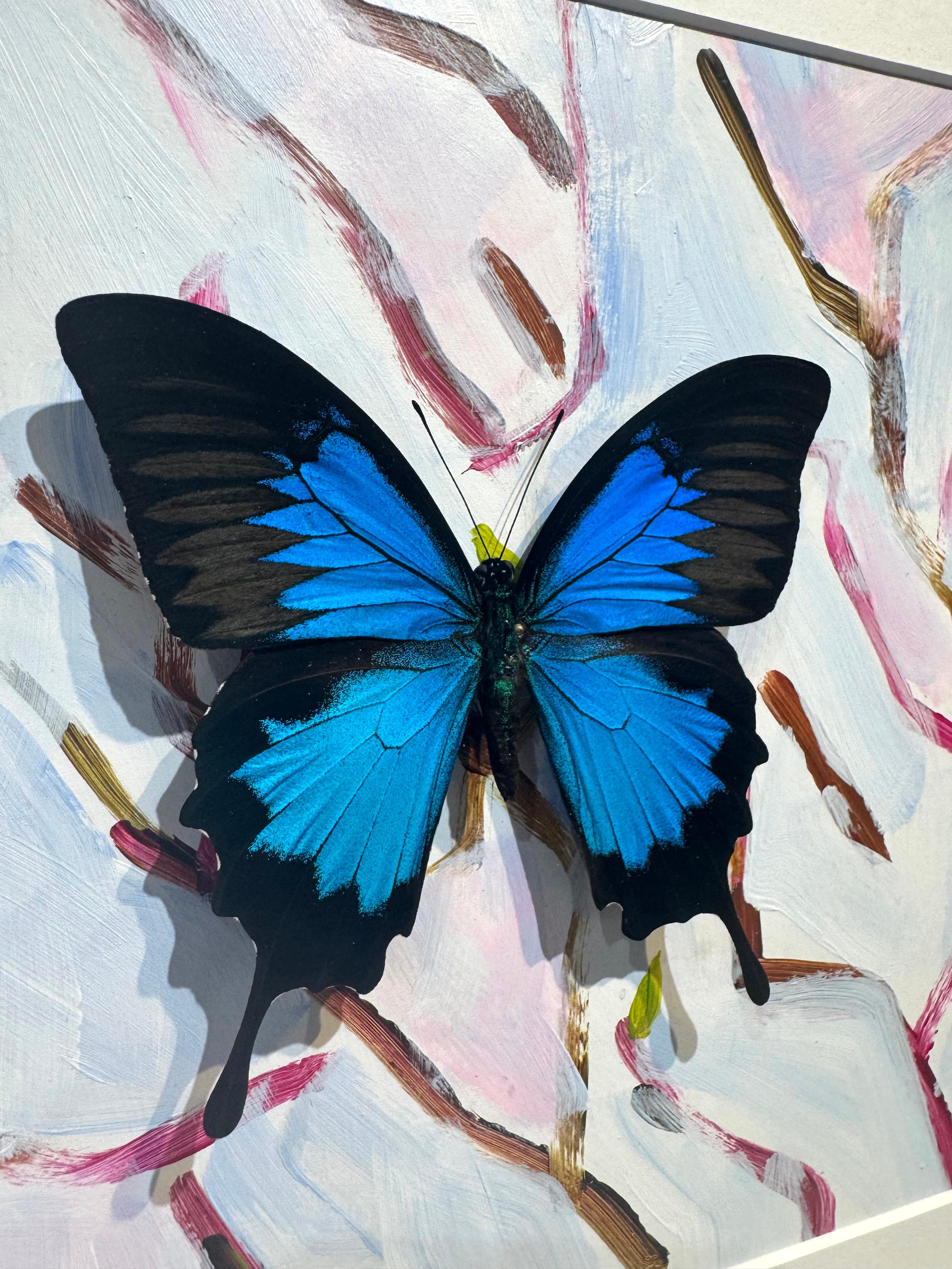 Butterfly Collector #6 - Photorealist Mixed Media Art by Lis Sam