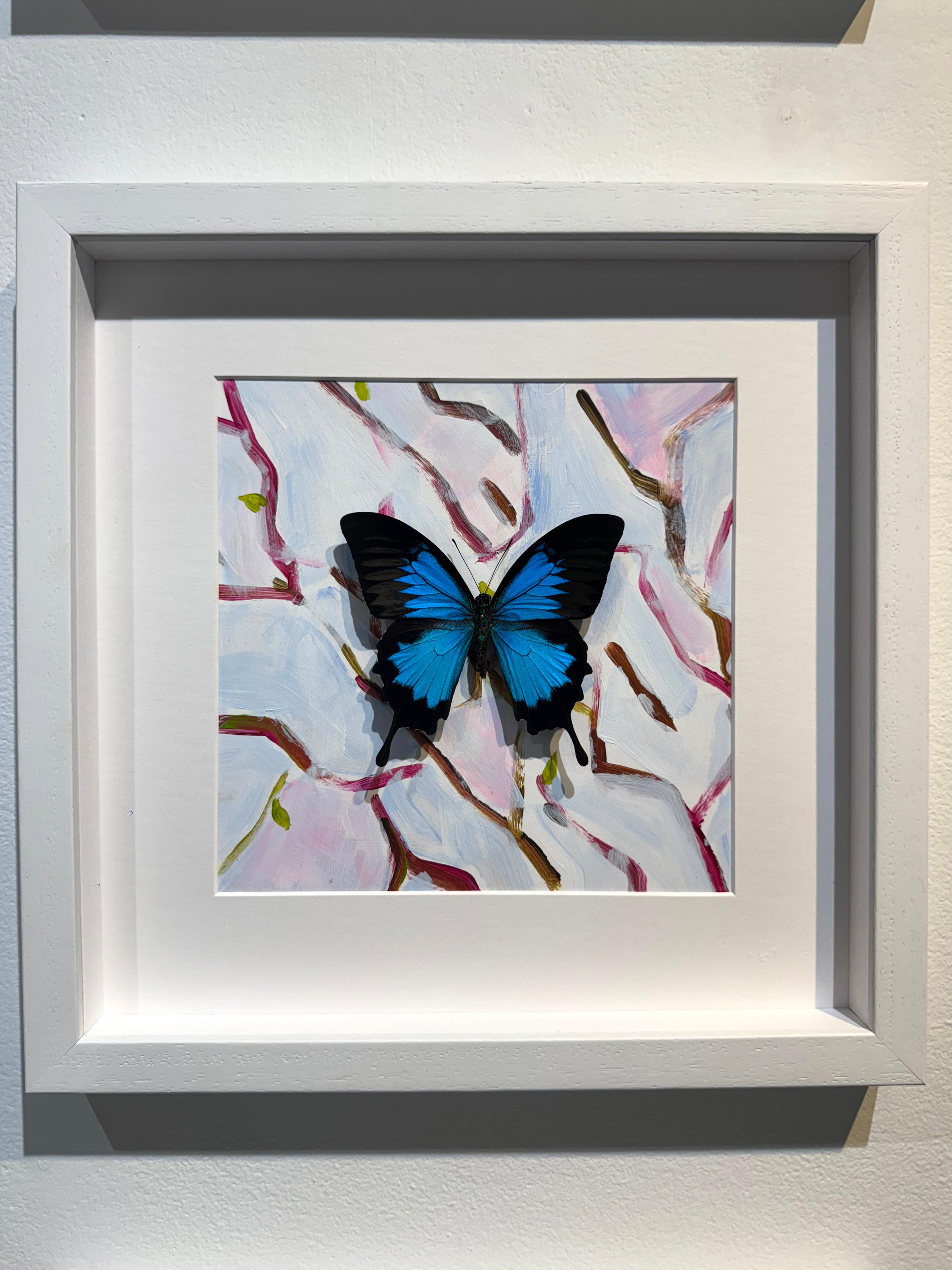 Butterfly Collector #6
