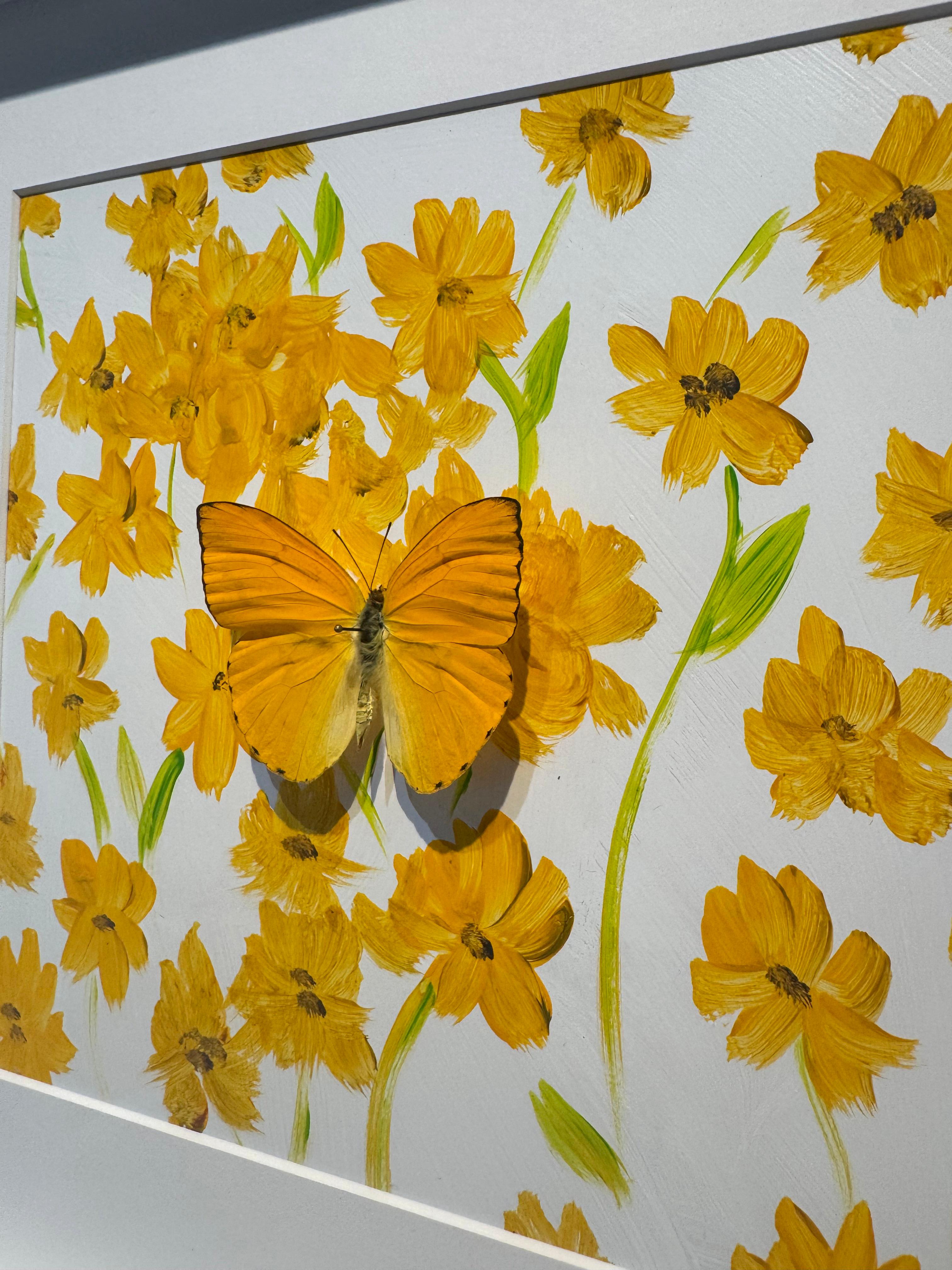 Butterfly Collector #7 - Photorealist Mixed Media Art by Lis Sam