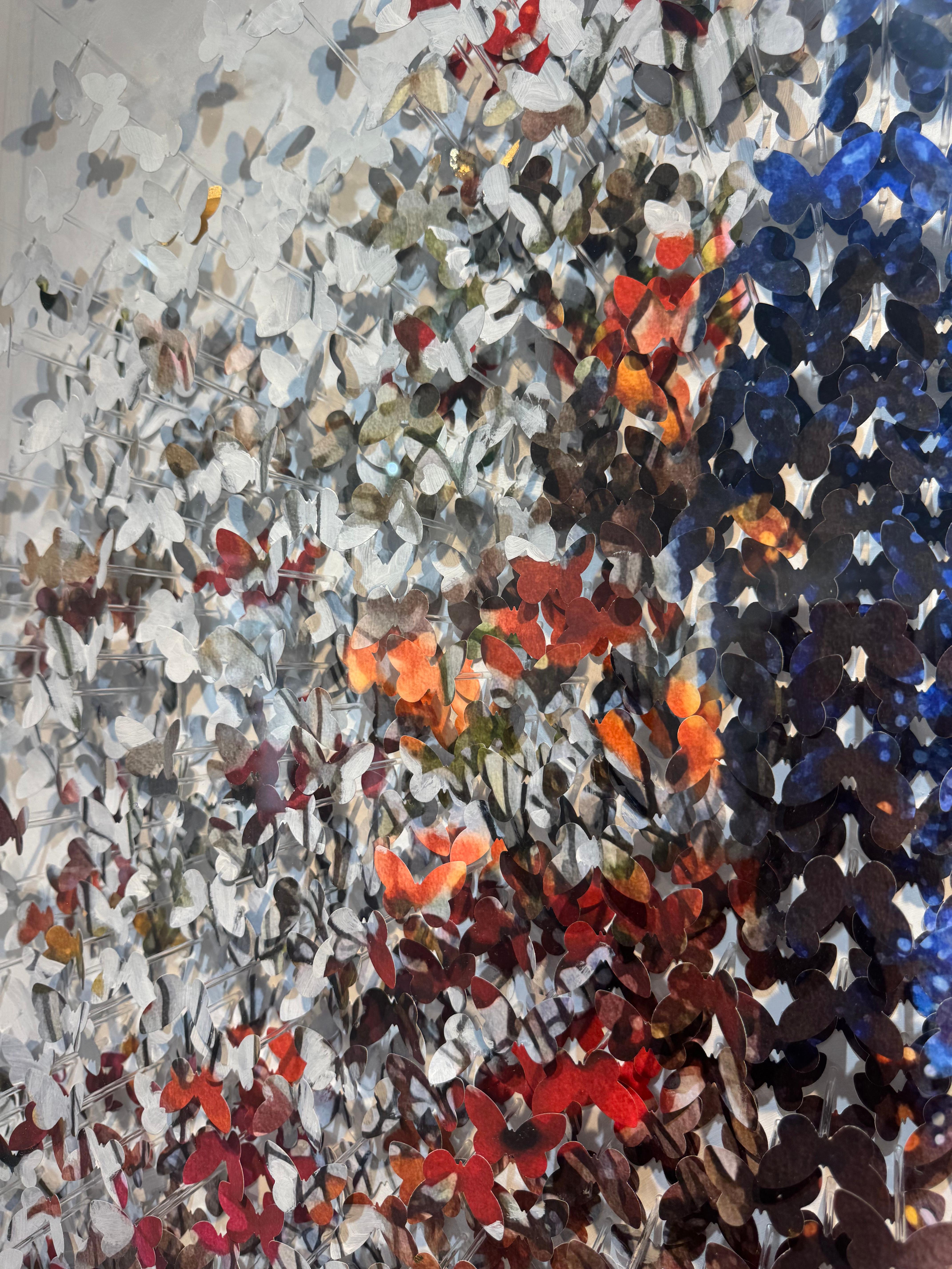 Orange Blossom 1 For Sale 4