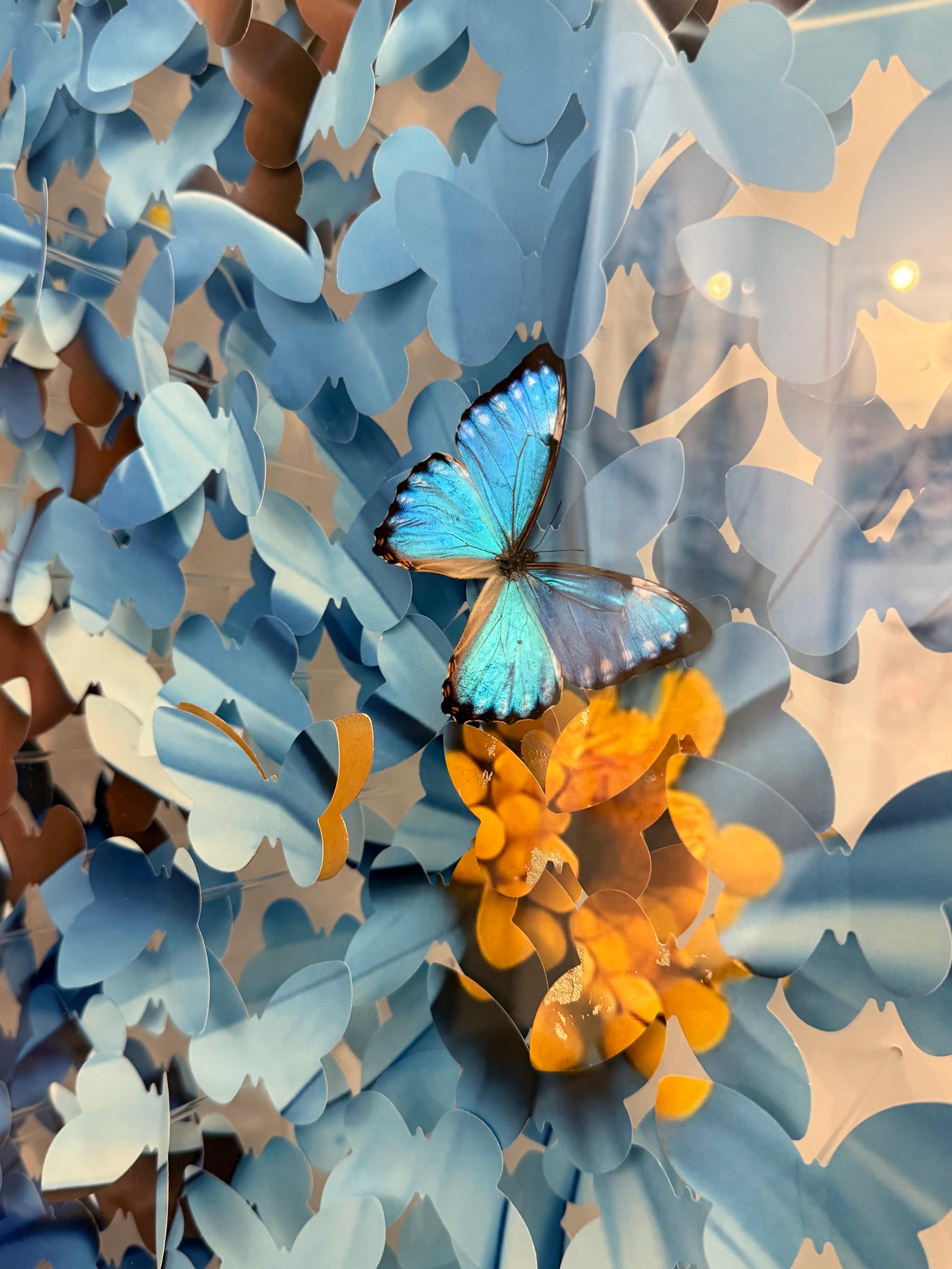 Coming from the world of Street art, Lis Sam is a self-taught artist. Born in Tunisia in 1989, he arrived in France at the age of 11, where he entered the world of craftsmanship, developing a keen appreciation for aesthetic forms. As is often the