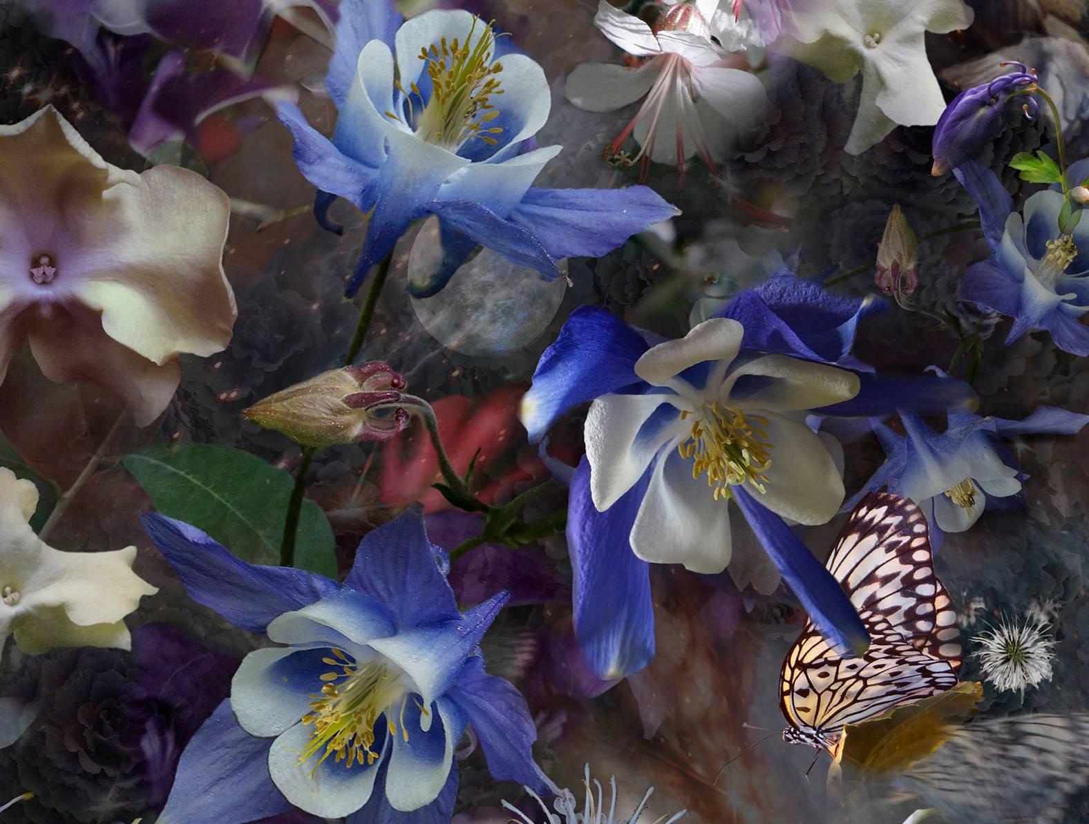 Columbina: El Misterio de las Cinco Palomas - Flores Botánicas Blanco Violeta Azul, 2017 - Abstract Photograph Negro de Lisa A. Frank