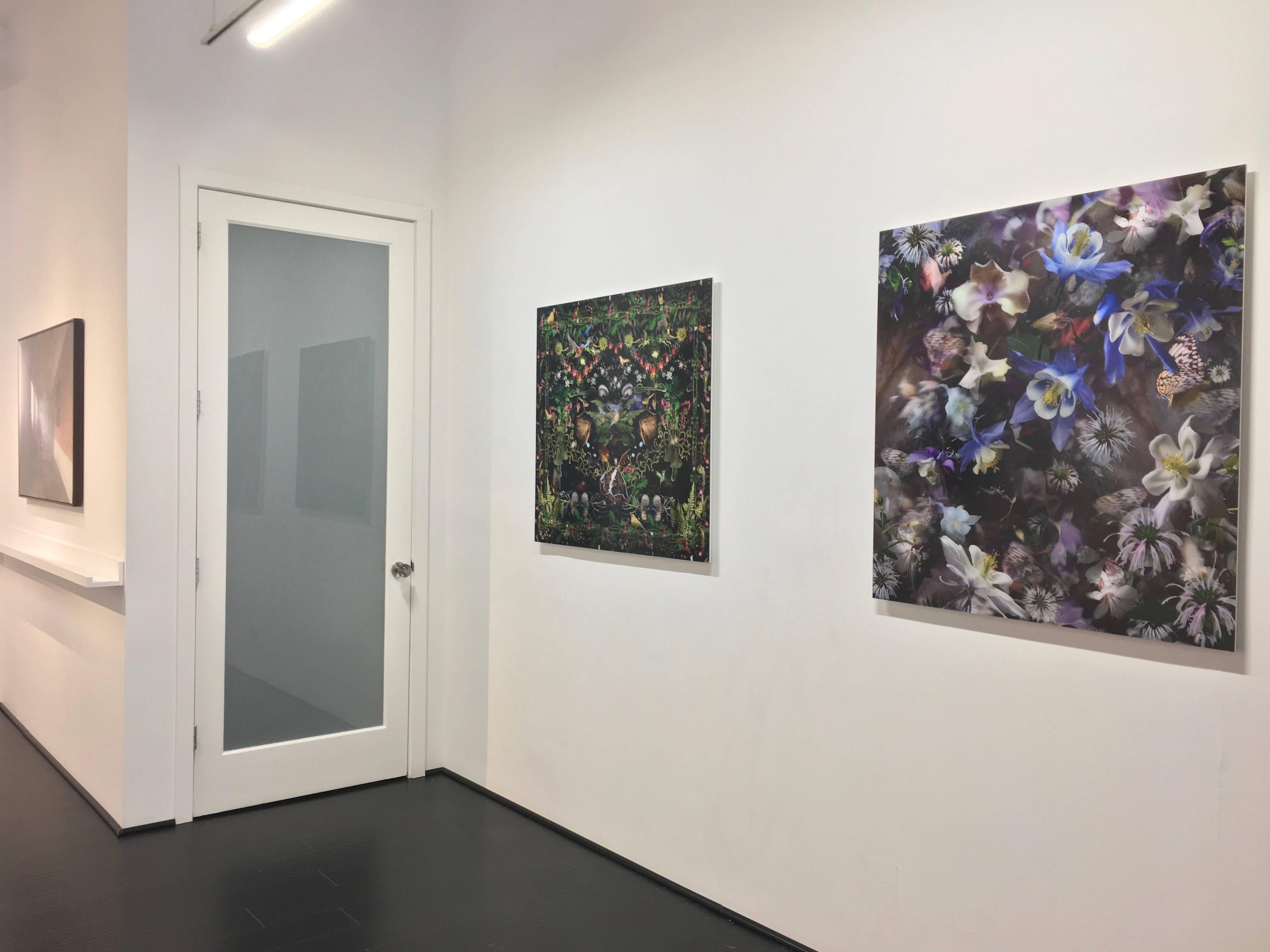 Columbina: El Misterio de las Cinco Palomas - Flores Botánicas Blanco Violeta Azul, 2017 en venta 2