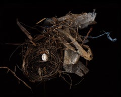 Nest (Modern Digital Bird Nest Still Life)
