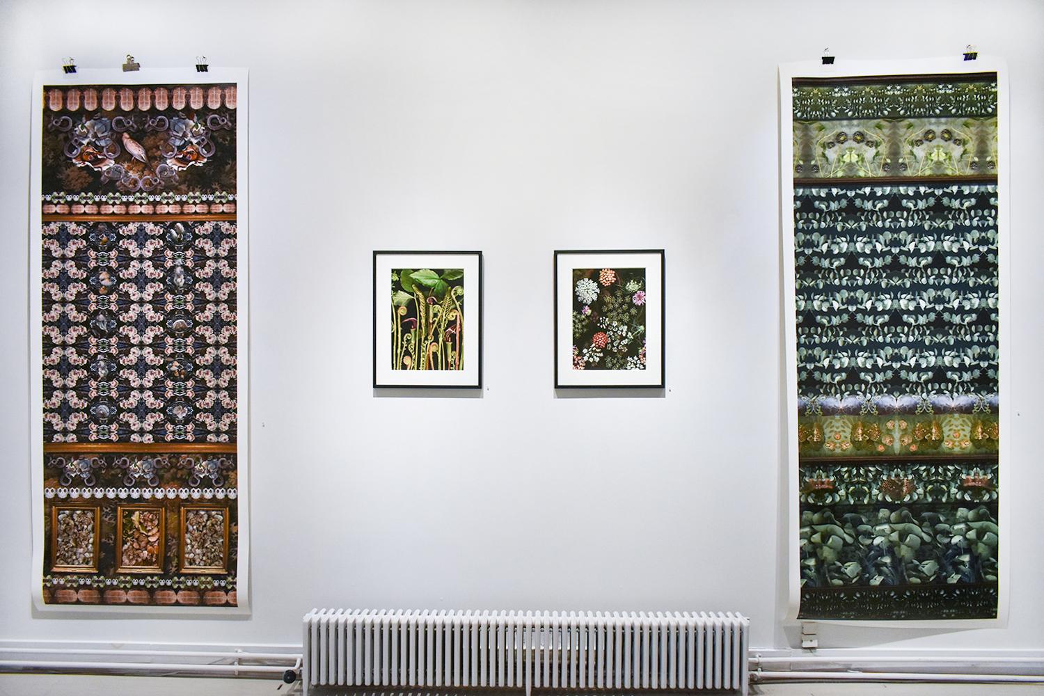 Panel mit Schlangen, Schildkröten und Tauben (Archivalische Digitaldruck-Collage-Tafel) (Moderne), Photograph, von Lisa A. Frank