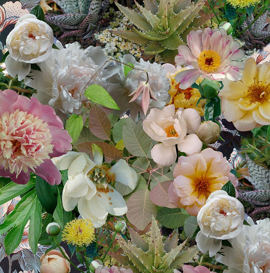 Photographie de nature morte florale colorée, de style maximaliste, composée de fleurs et de plantes grasses de couleur rose, verte, jaune et crème 
Impression numérique d'archives, réalisée sur commande
40 x 40 pouces, édition de 15

Autres tailles