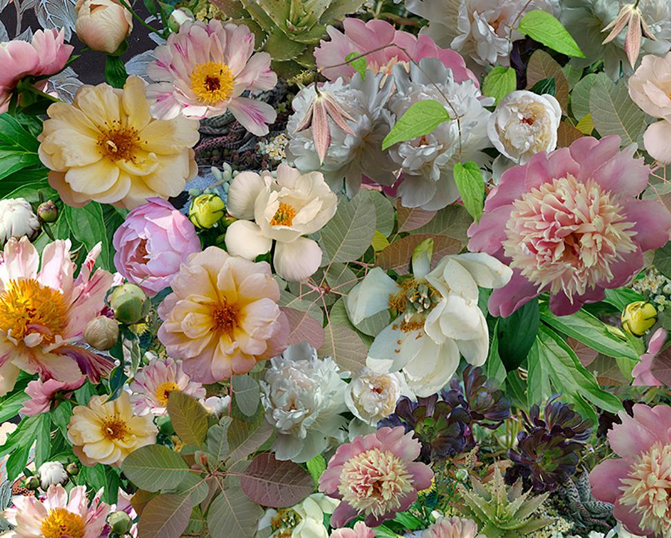 Peonies durchbrechendes Muster: Abstraktes Stillleben mit rosa und grünen Blumen (Braun), Still-Life Photograph, von Lisa A. Frank