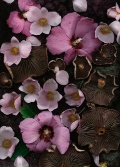 Russula with Rose of Sharon (Modern Digital Floral/Fungi Still Life)